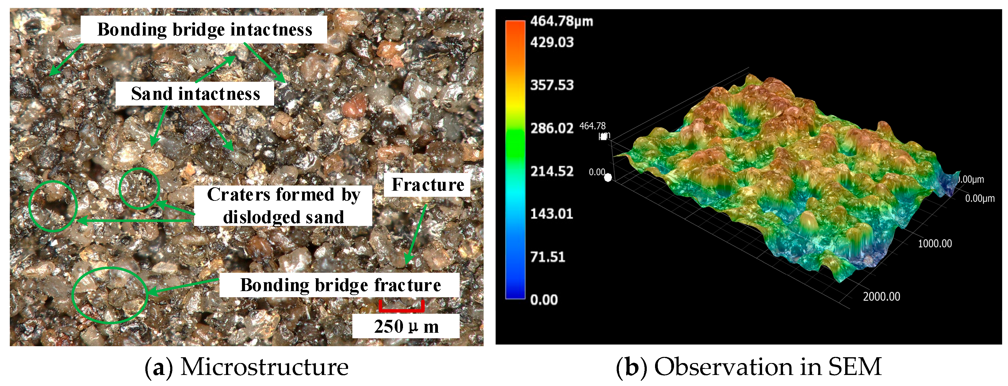 Coatings 15 00633 g013