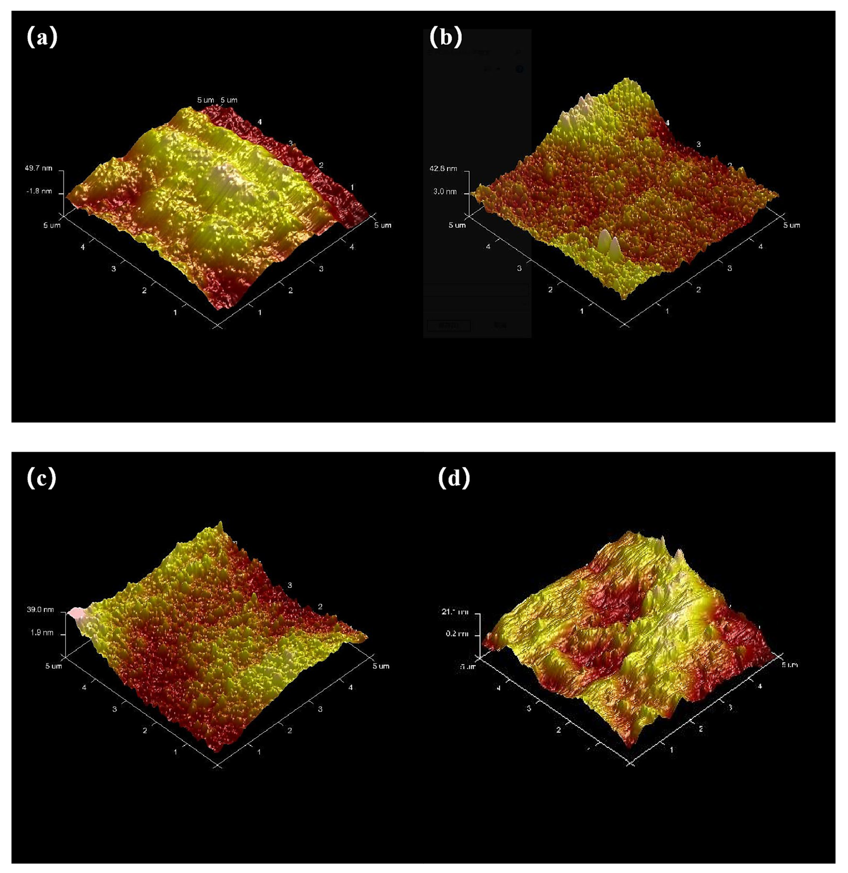 Coatings 15 00635 g008