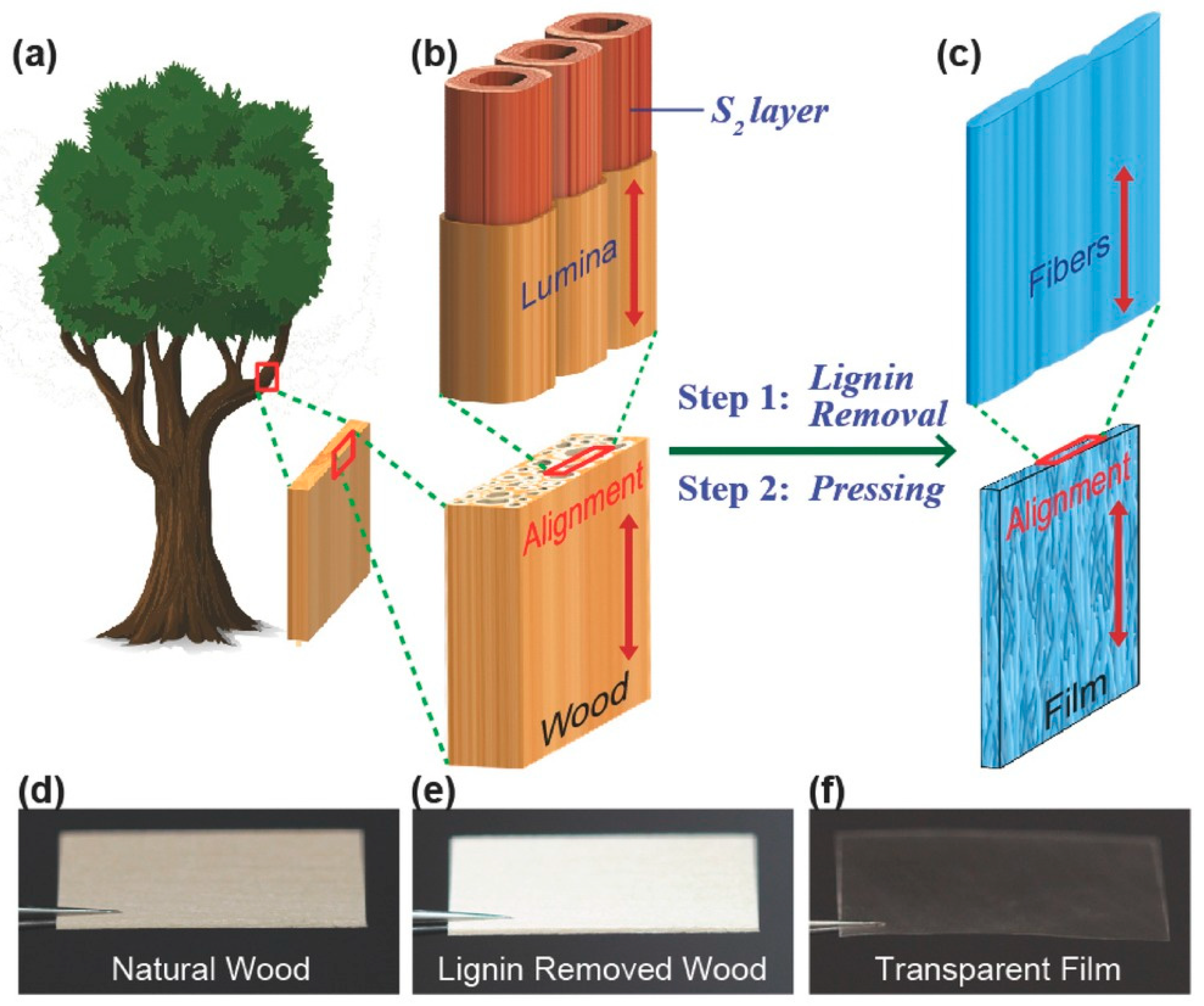 Coatings 15 00642 g002