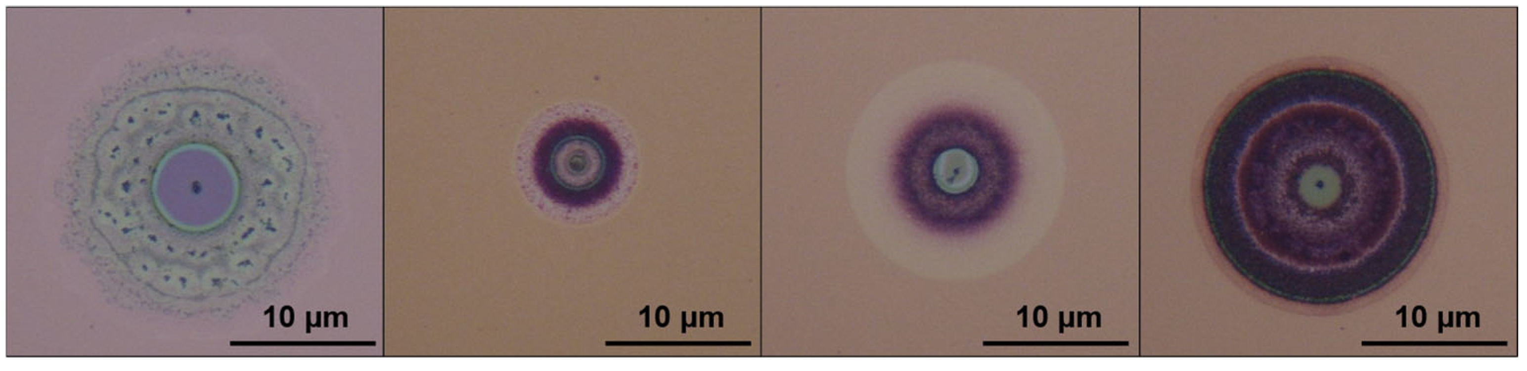 Coatings 15 00648 g005