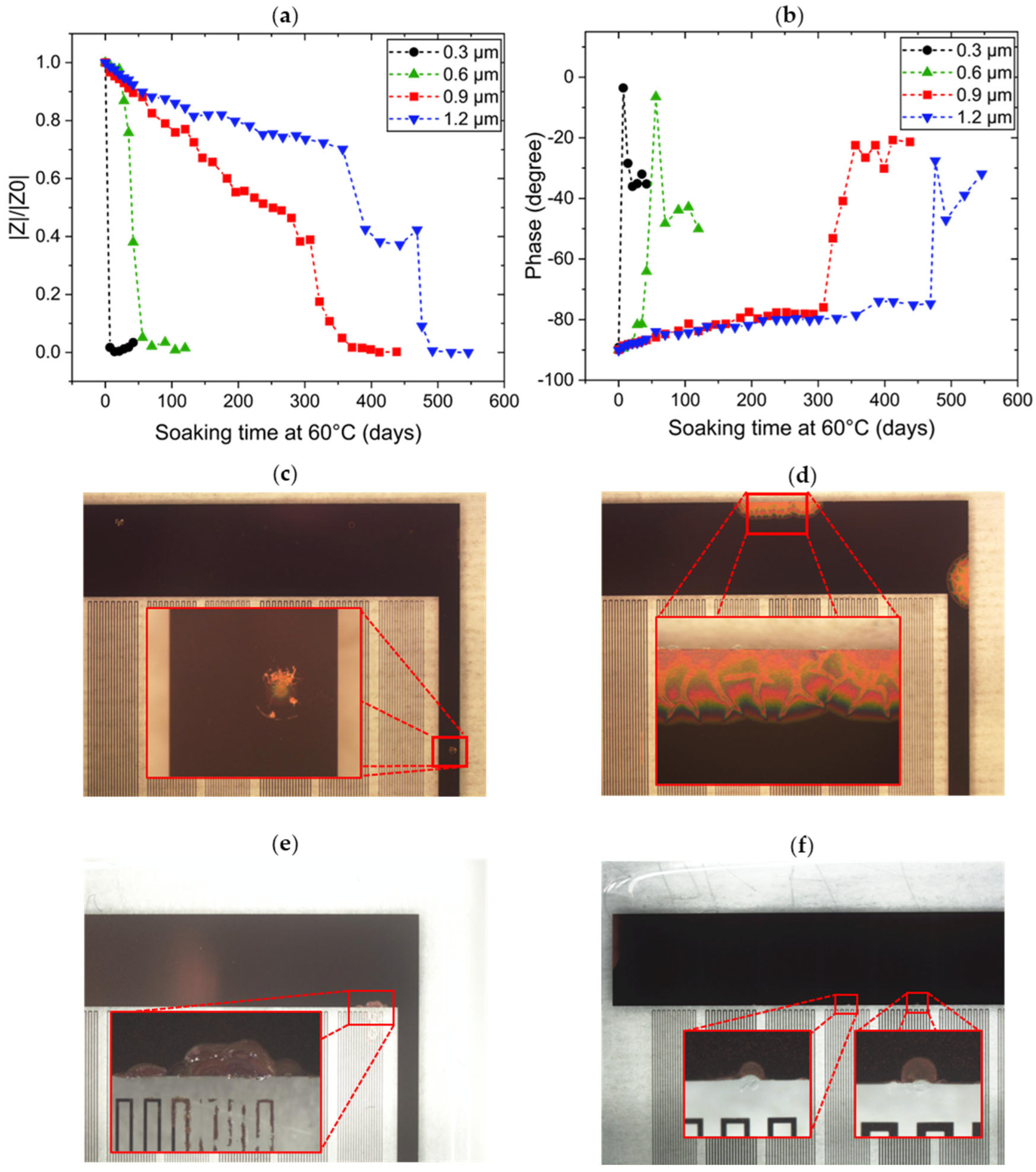 Coatings 15 00648 g009
