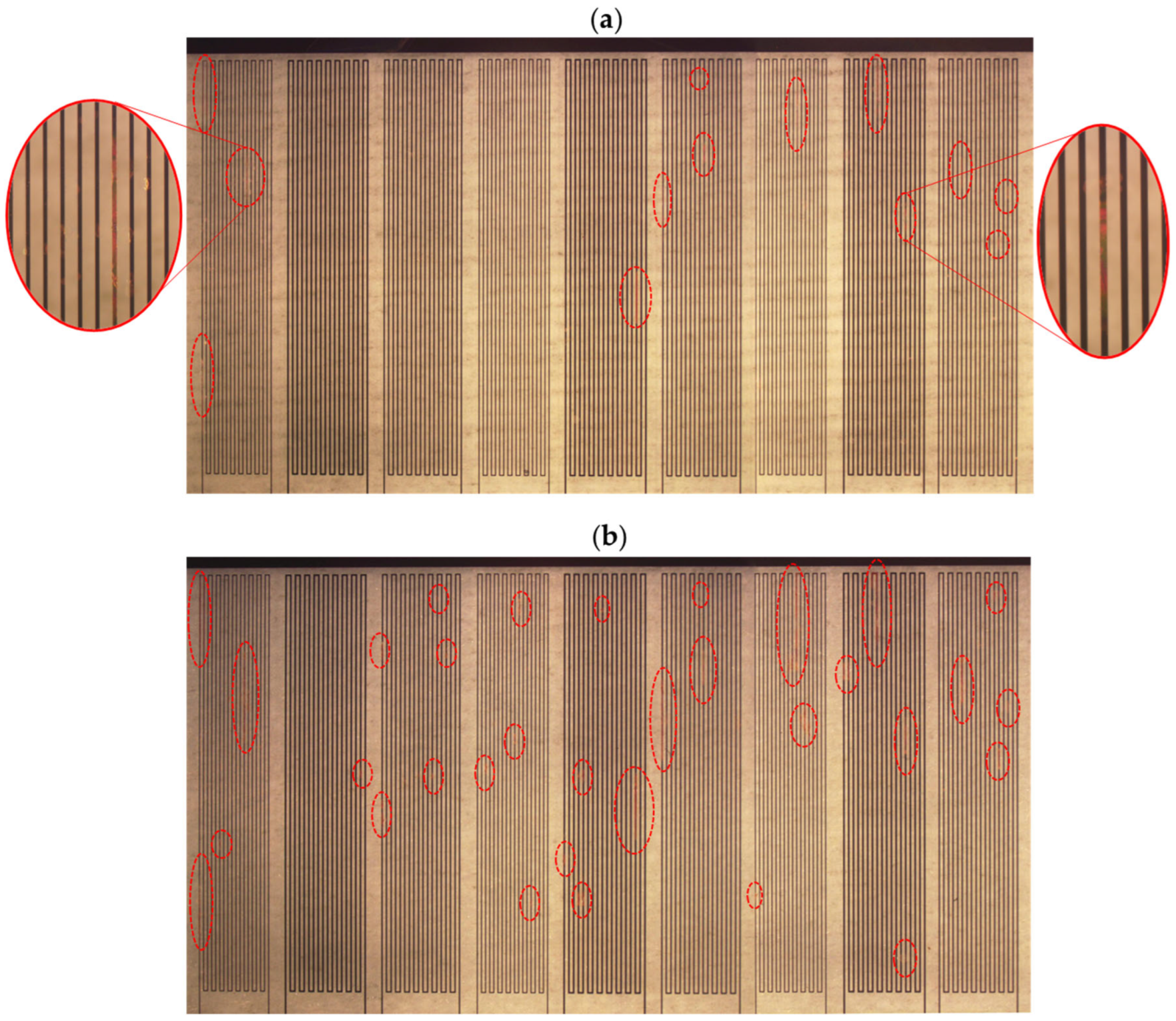 Coatings 15 00648 g012