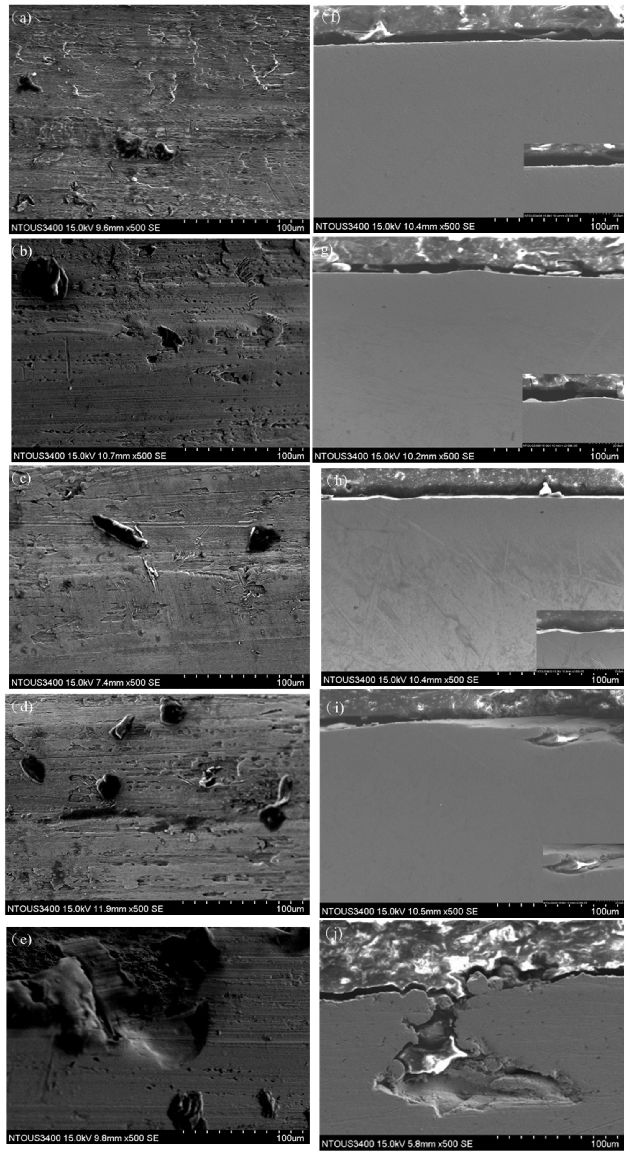 Coatings 15 00649 g008