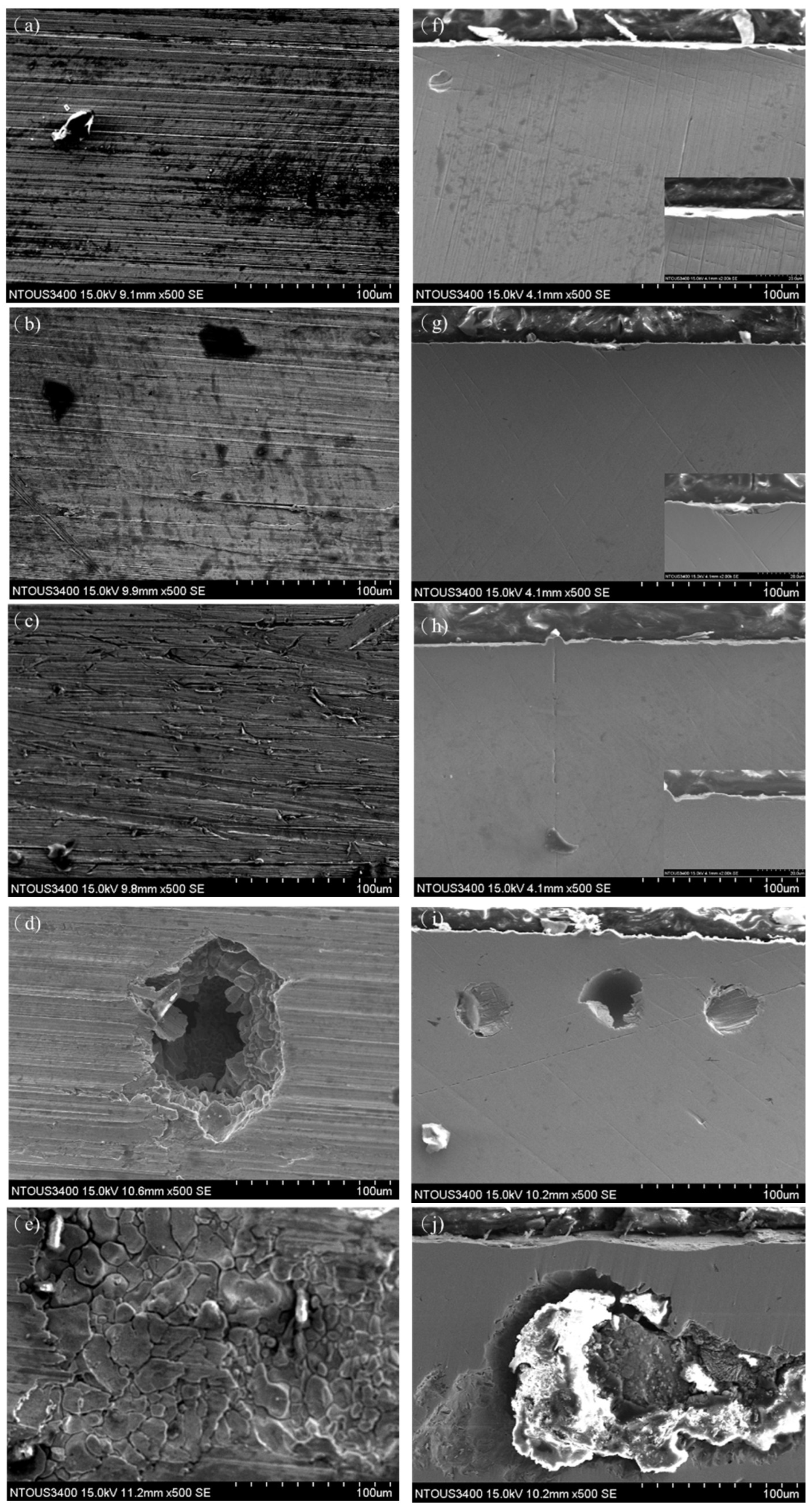 Coatings 15 00649 g011
