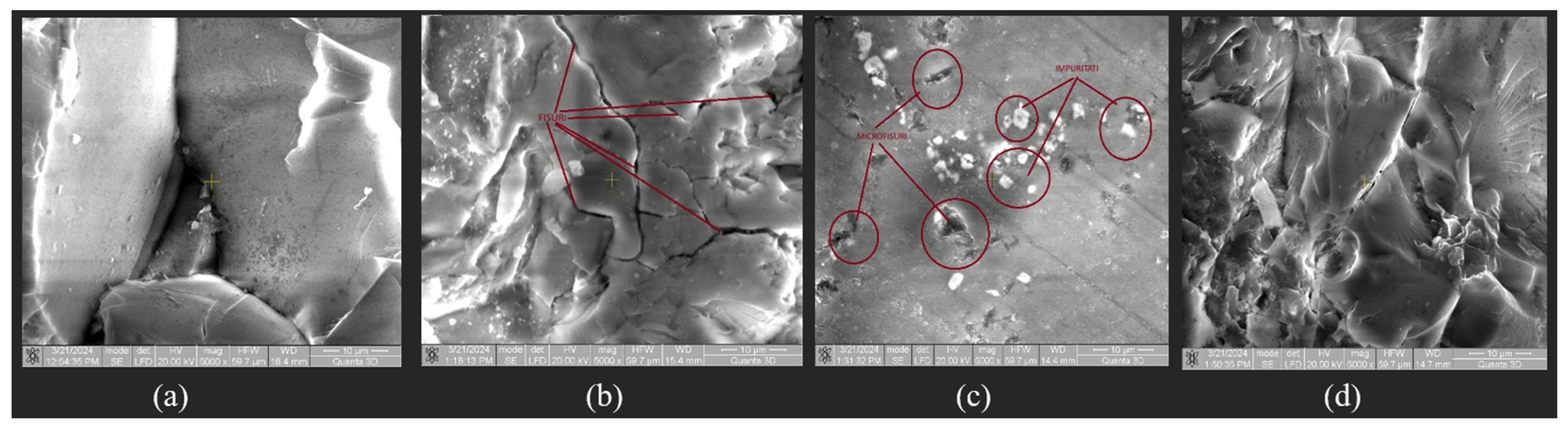 Coatings 15 00651 g023b