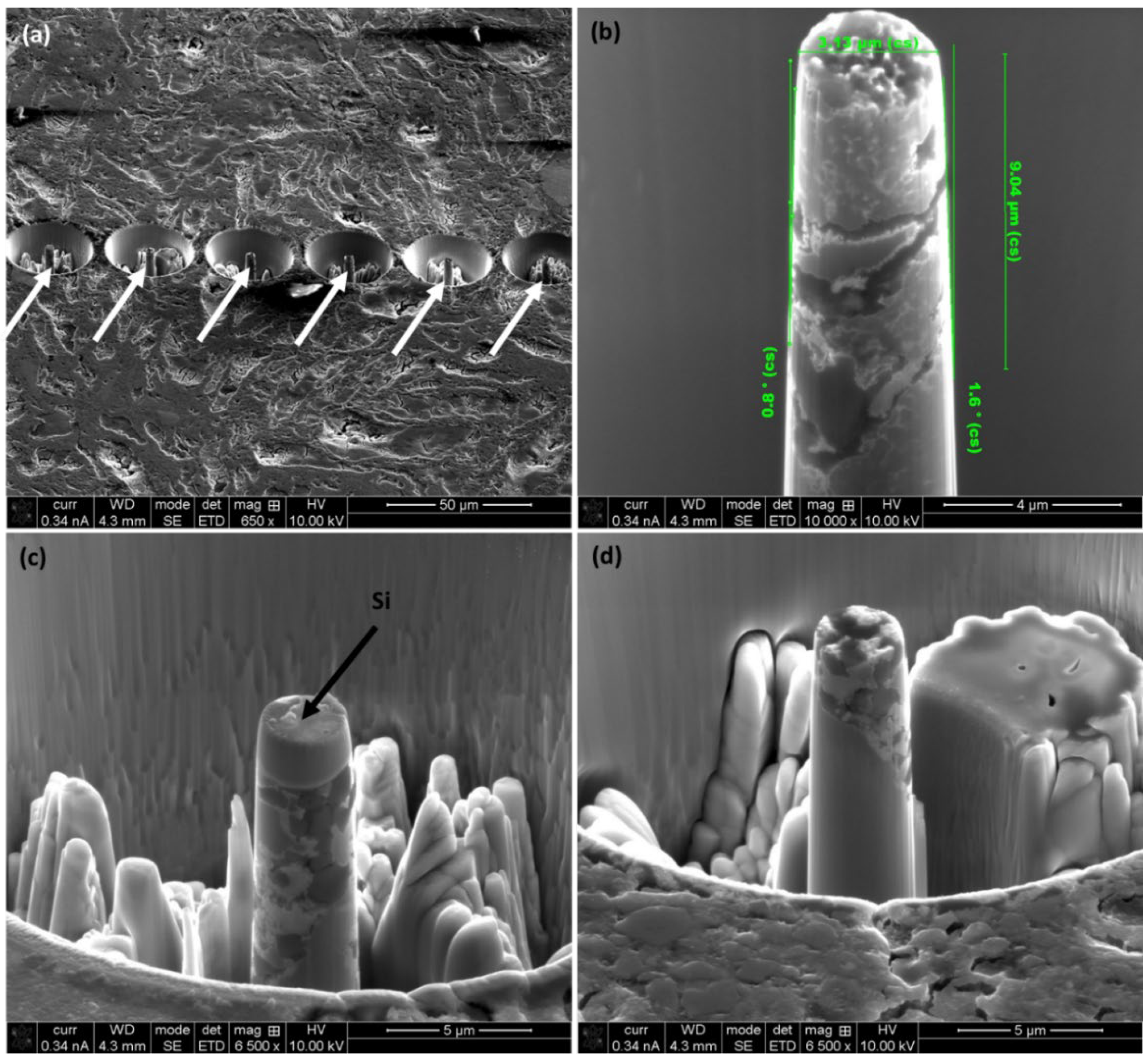 Coatings 15 00655 g005