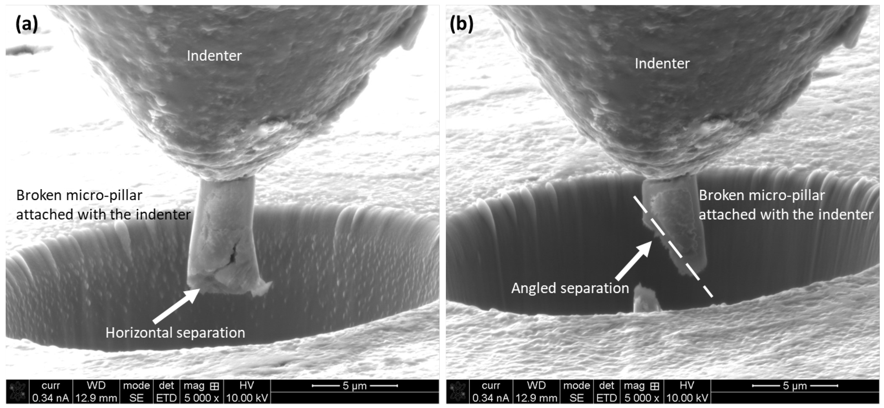 Coatings 15 00655 g008