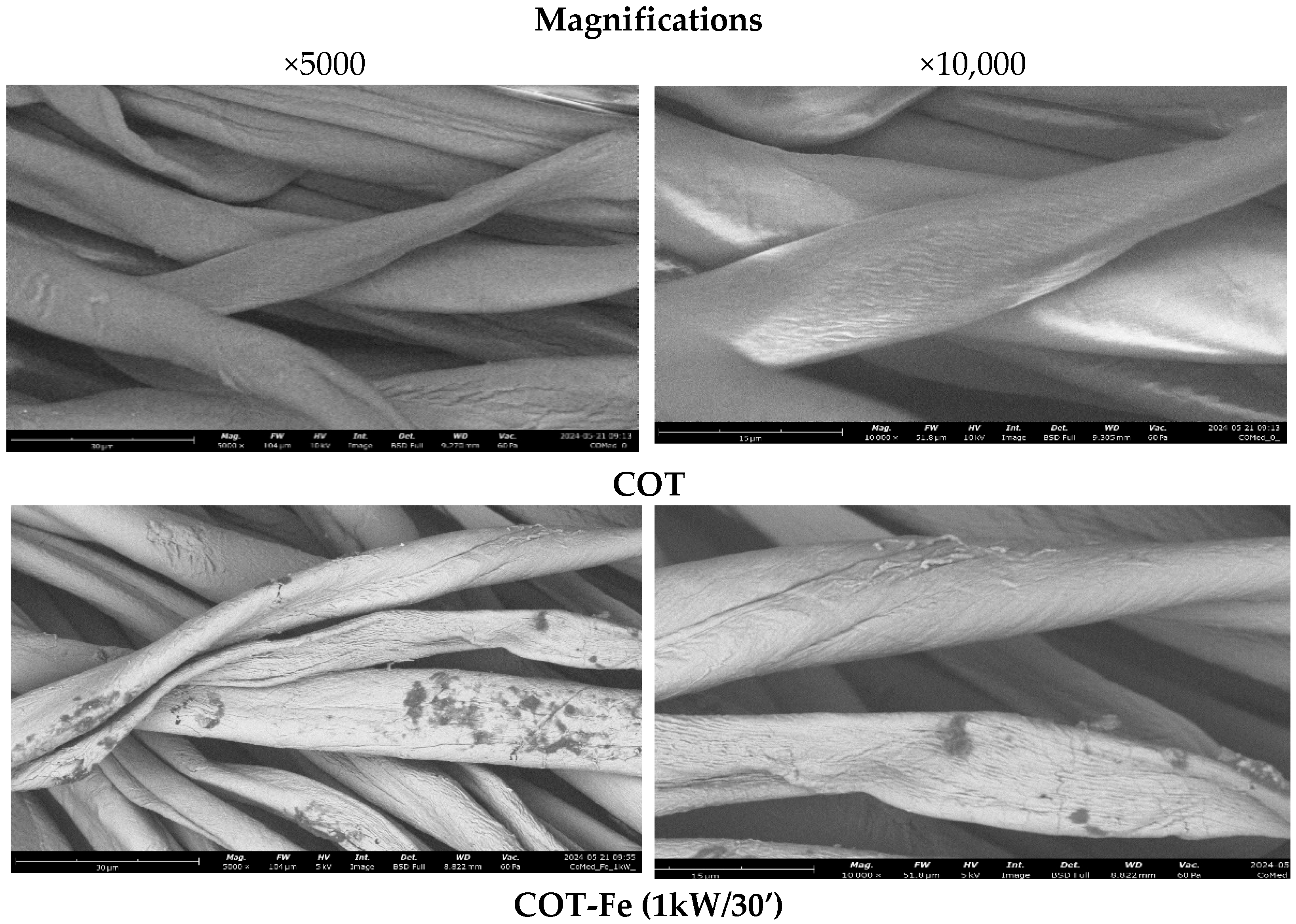 Coatings 15 00663 g003