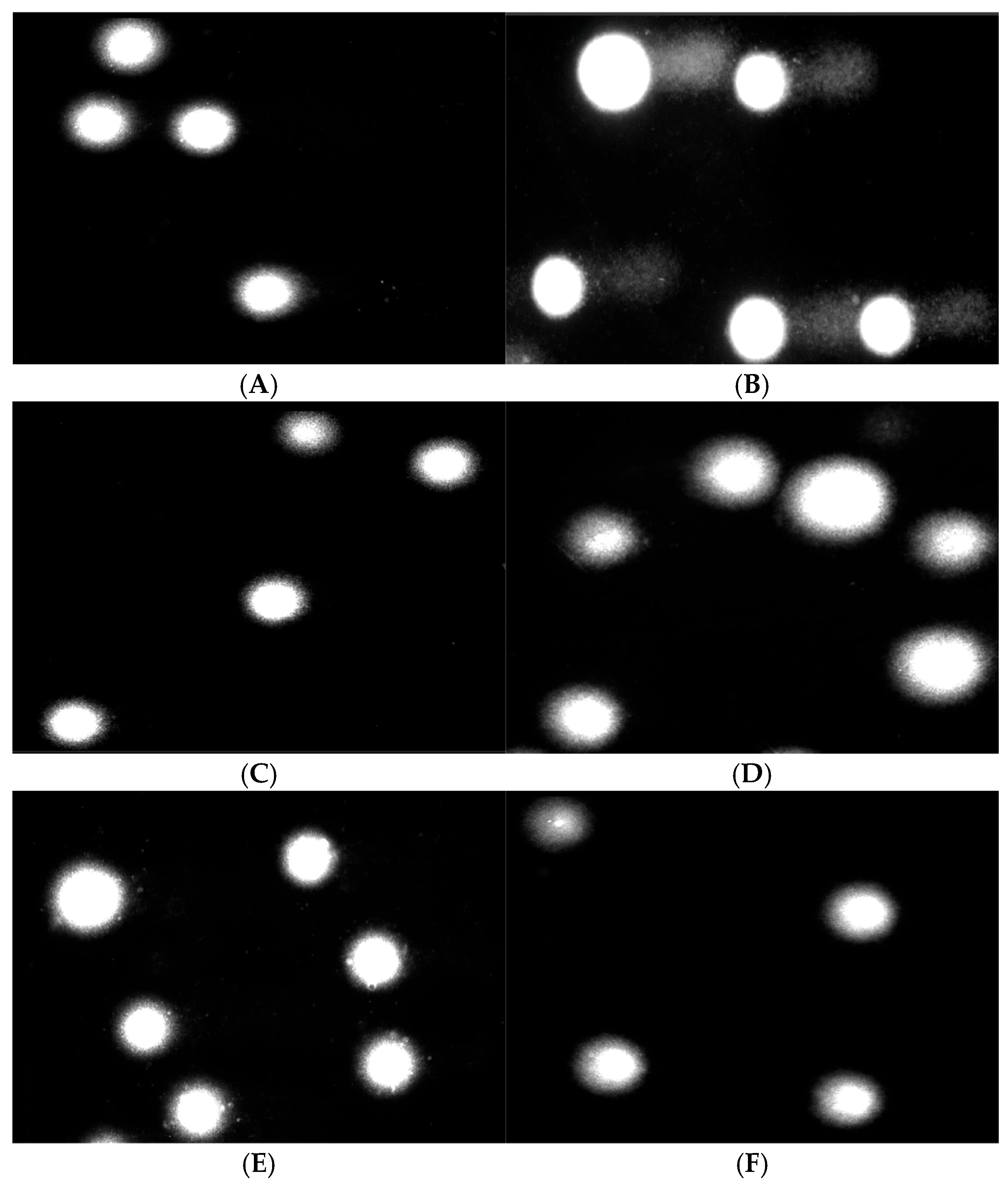 Coatings 15 00663 g011