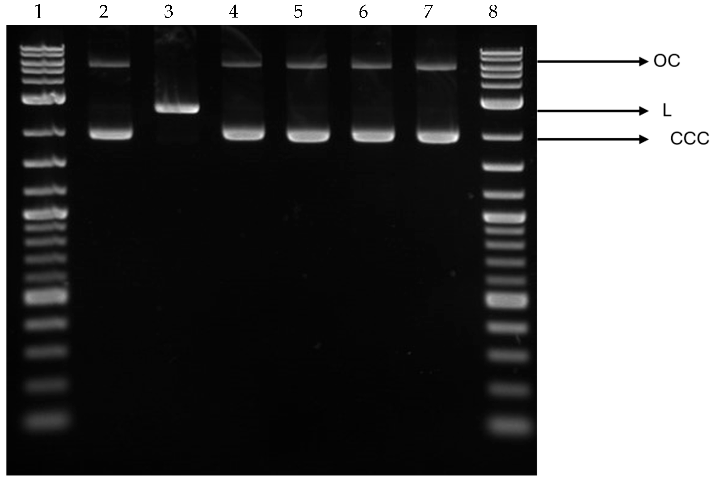 Coatings 15 00663 g012
