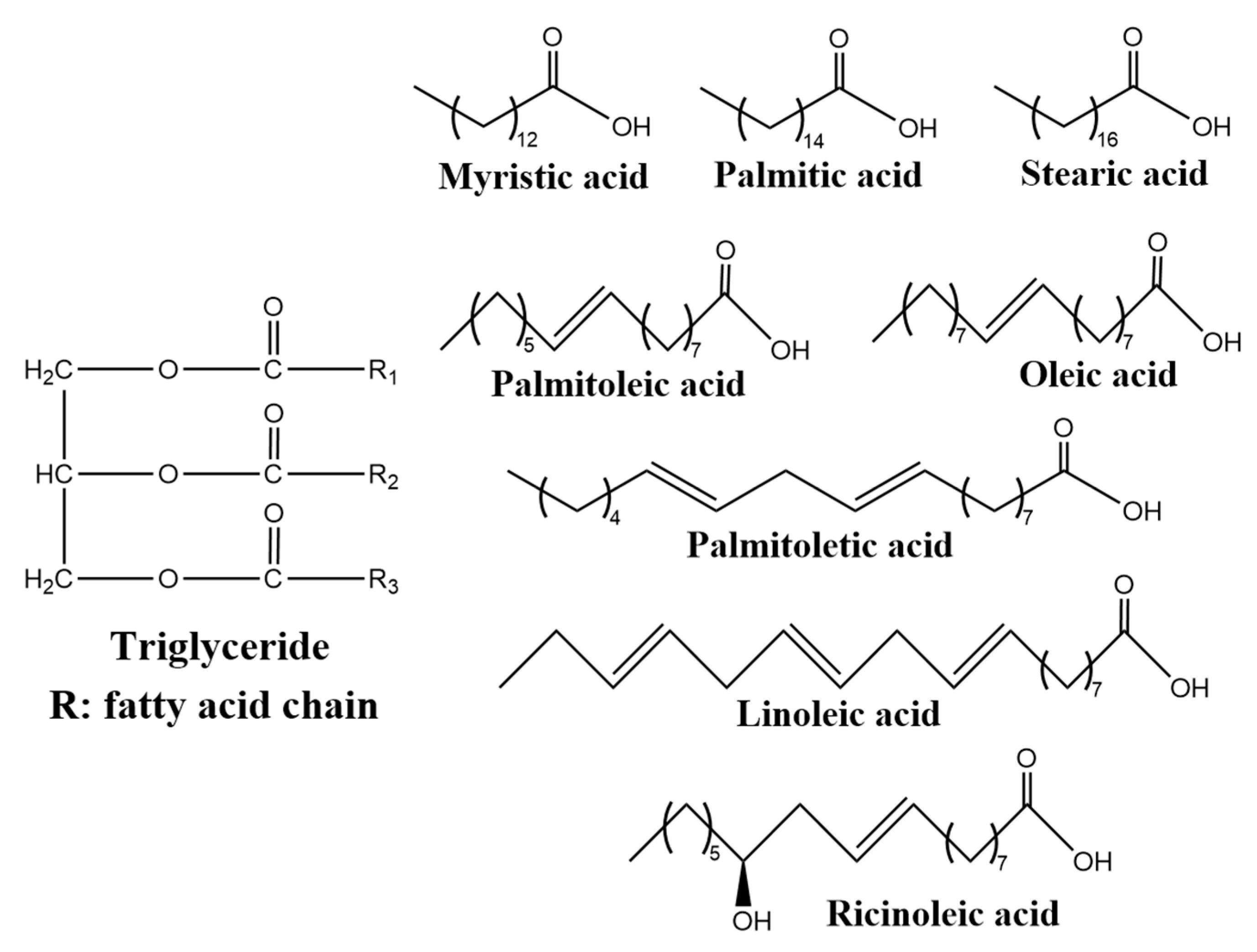 Coatings 15 00665 g001