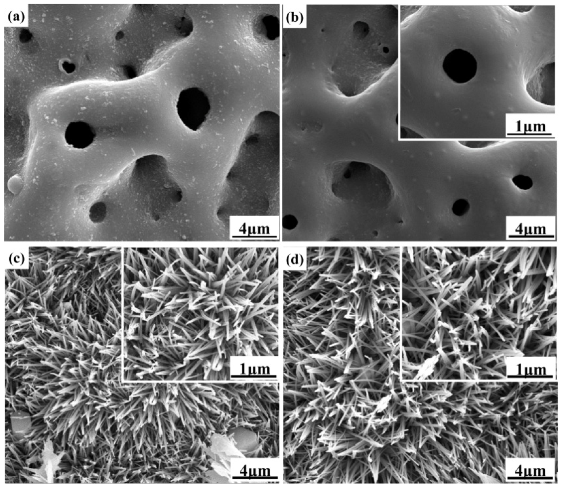 Coatings 15 00666 g001