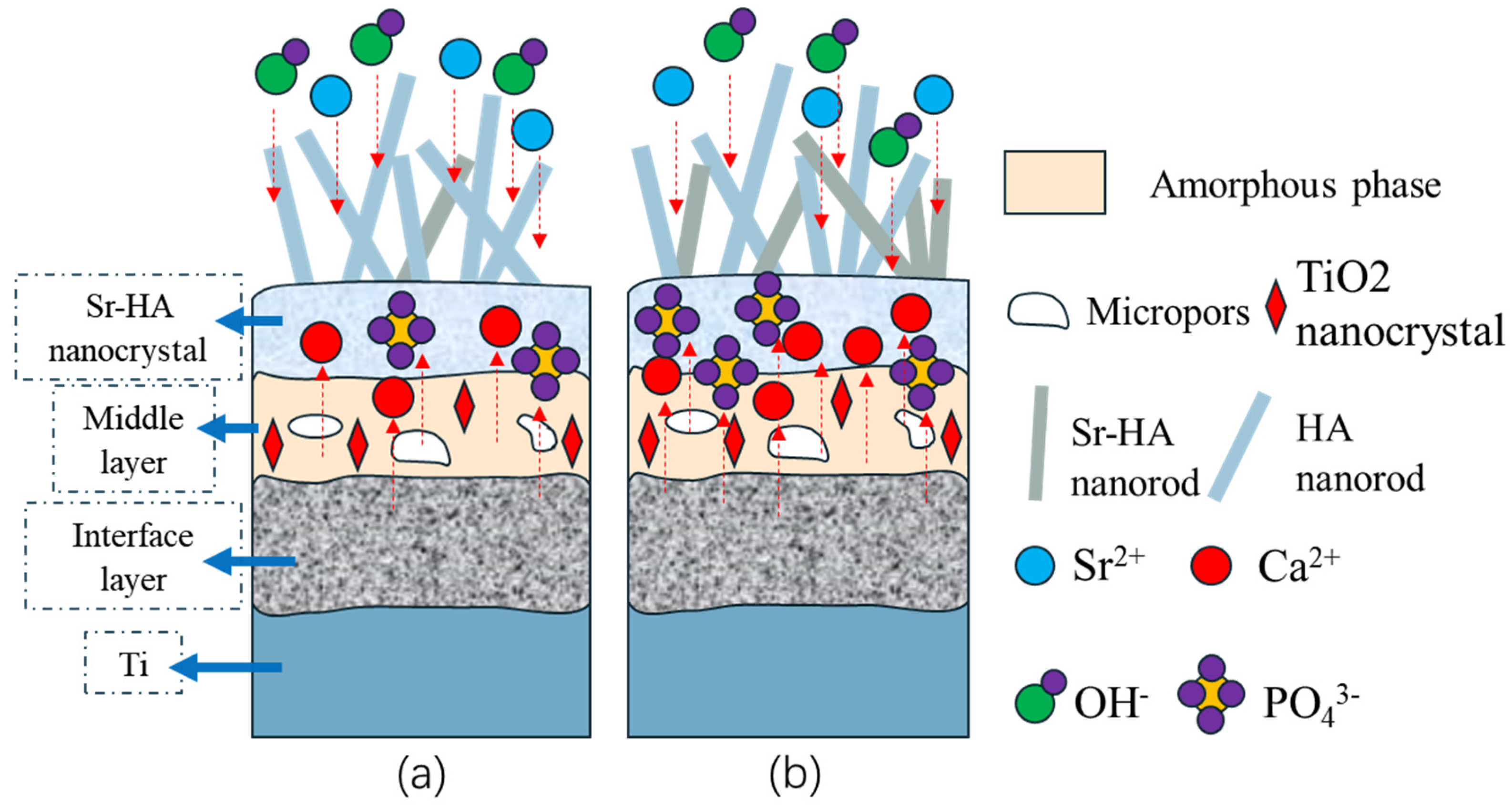 Coatings 15 00666 g010