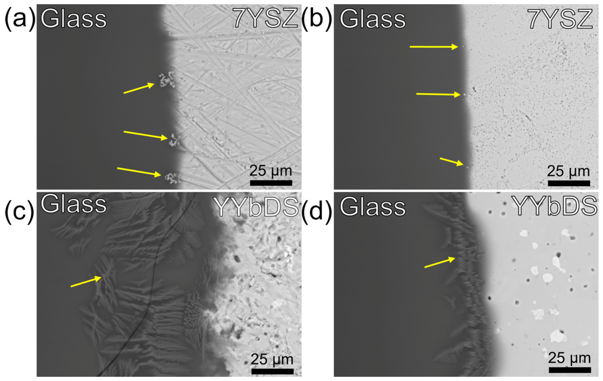 Coatings 15 00680 g004