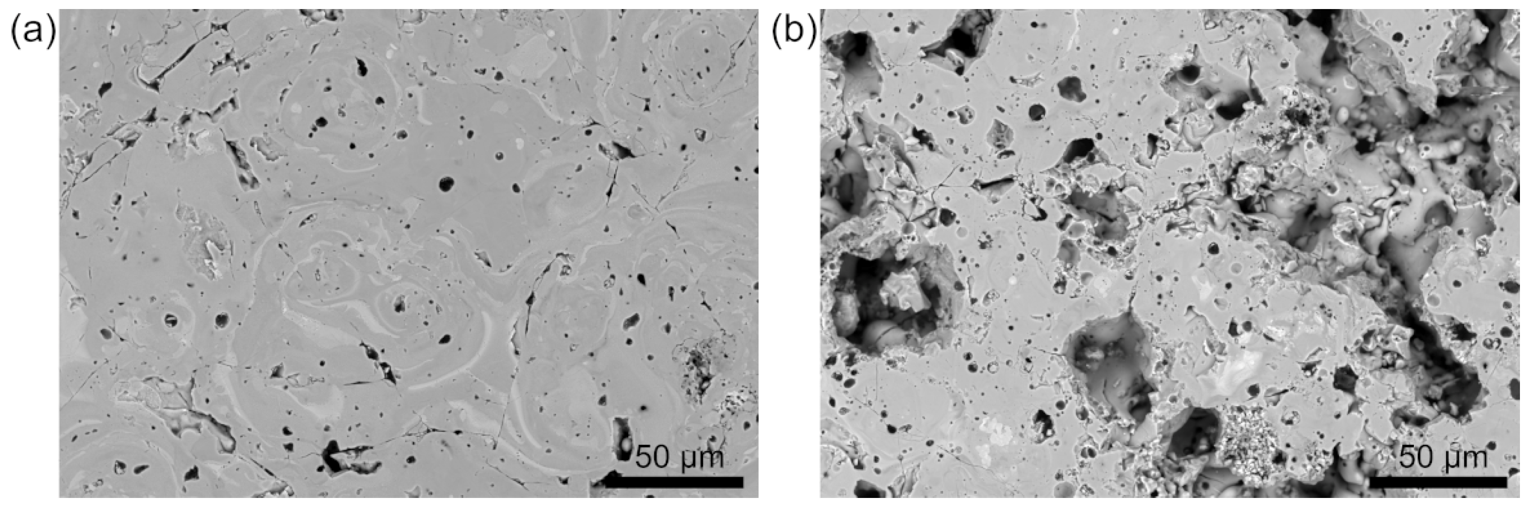 Coatings 15 00680 g008