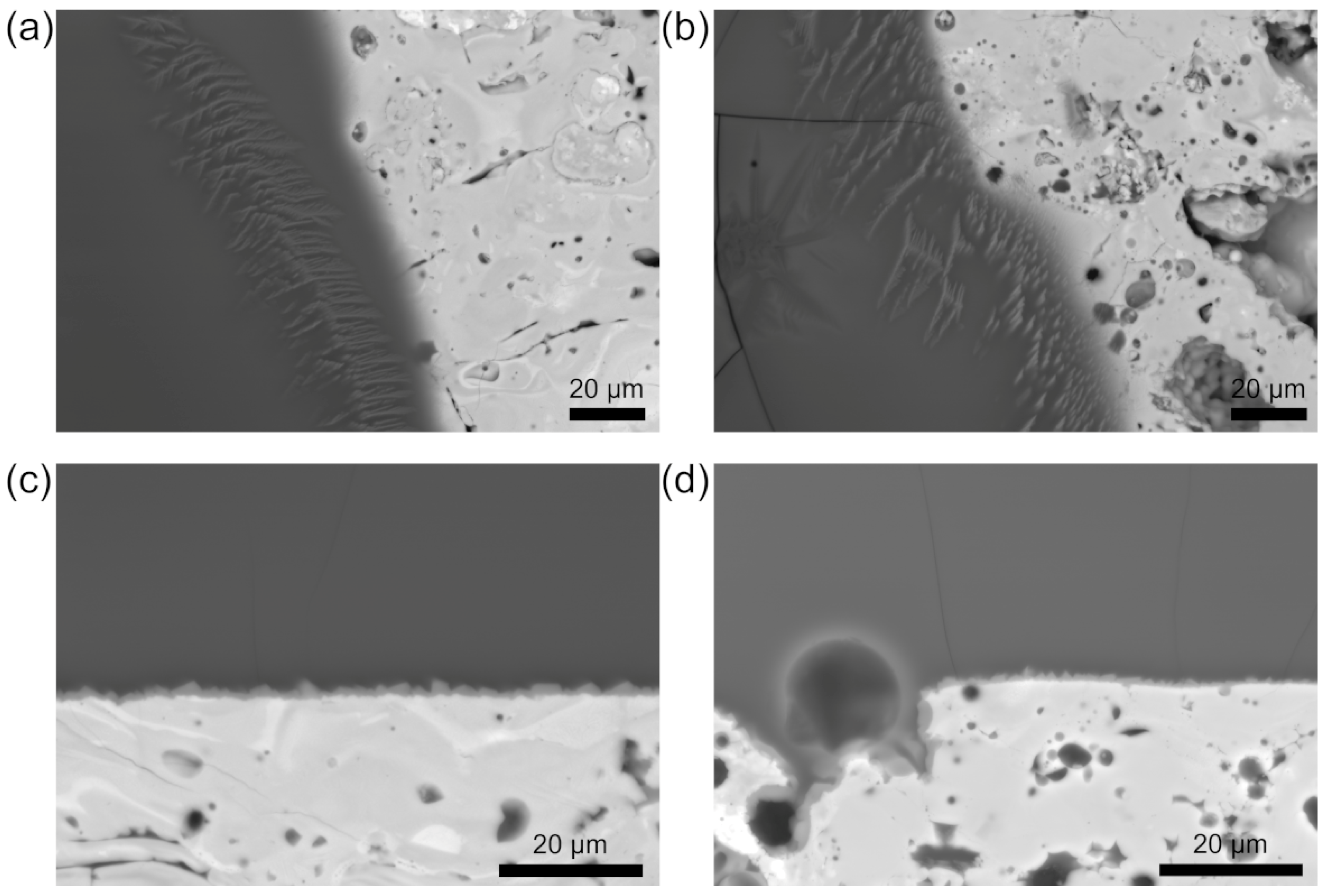 Coatings 15 00680 g010