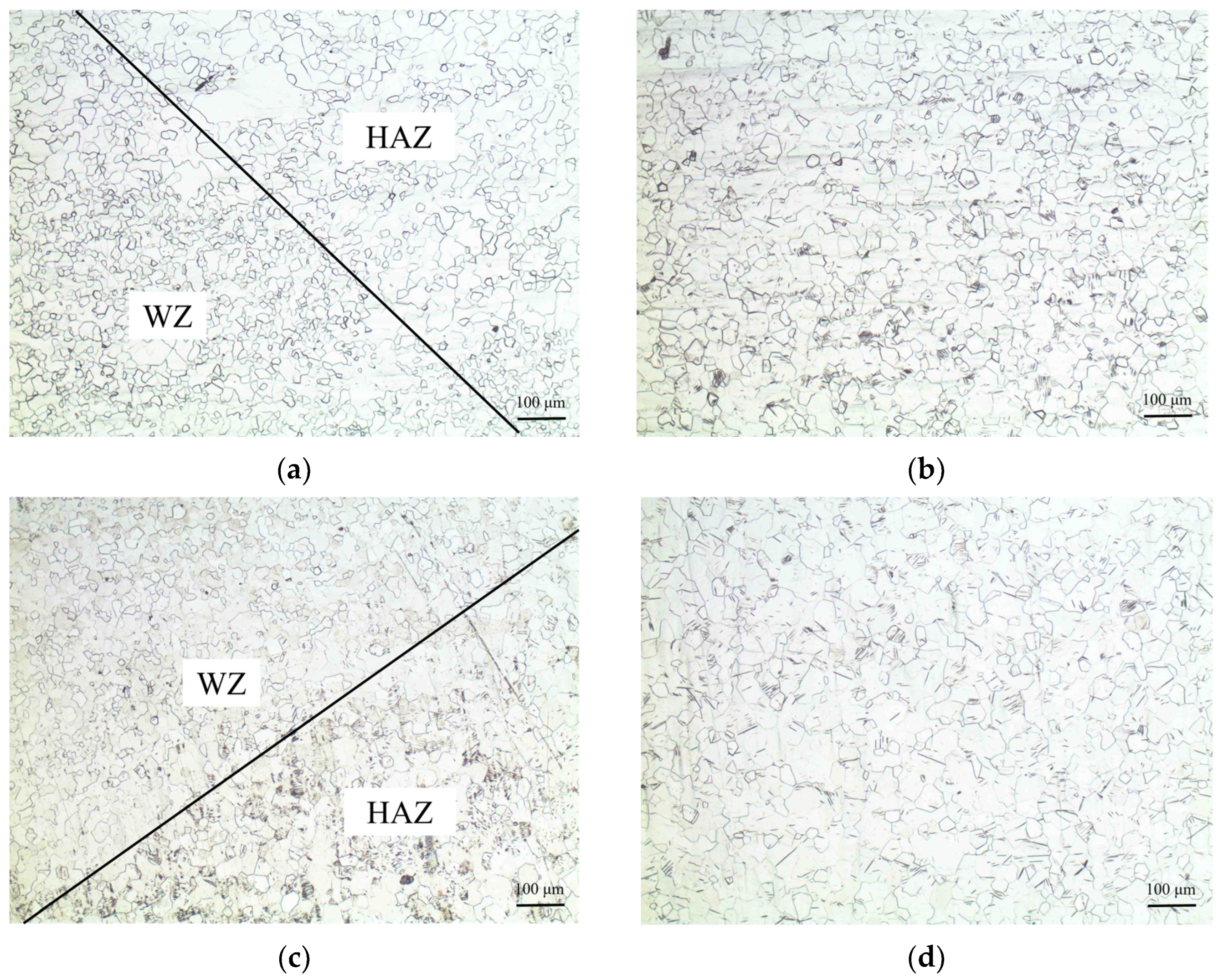 Coatings 15 00687 g007