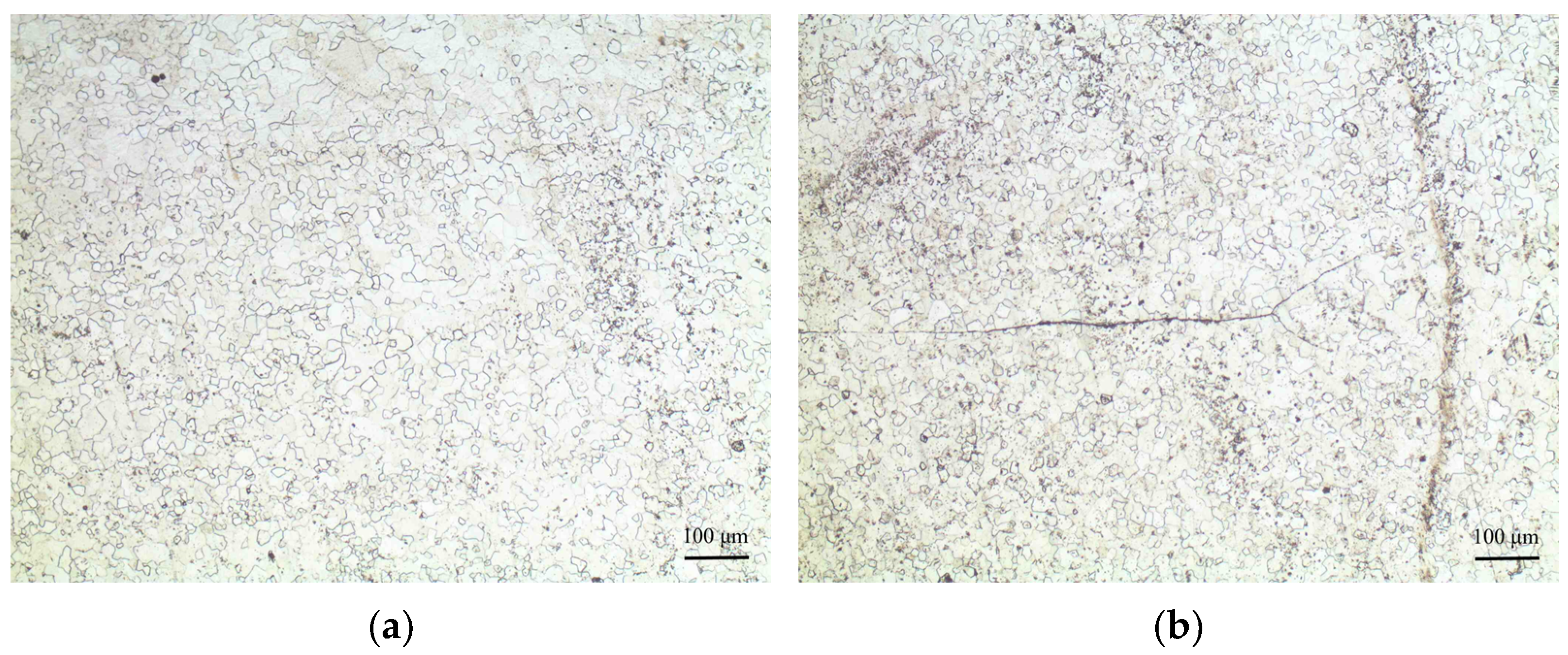 Coatings 15 00687 g008
