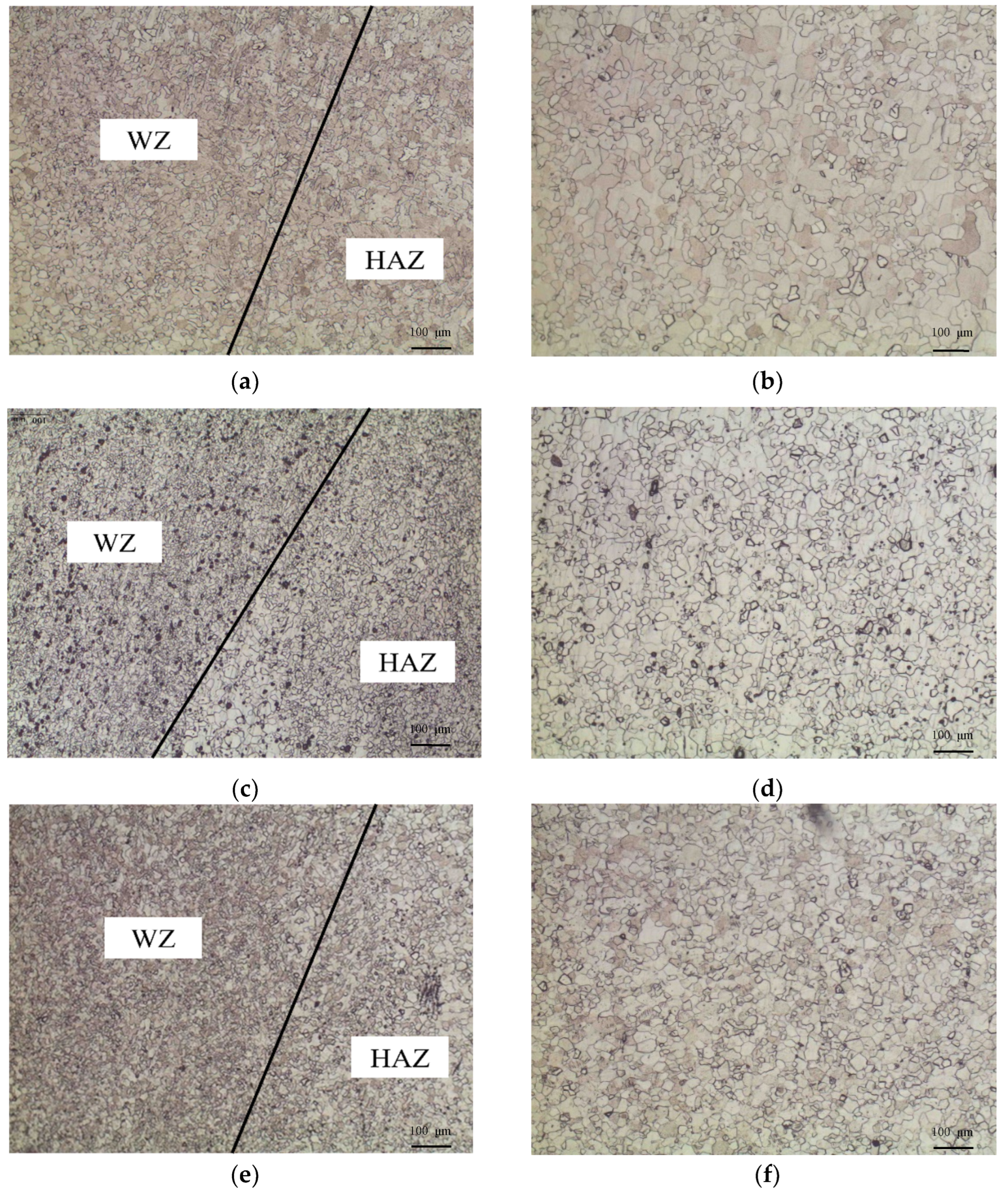 Coatings 15 00687 g010