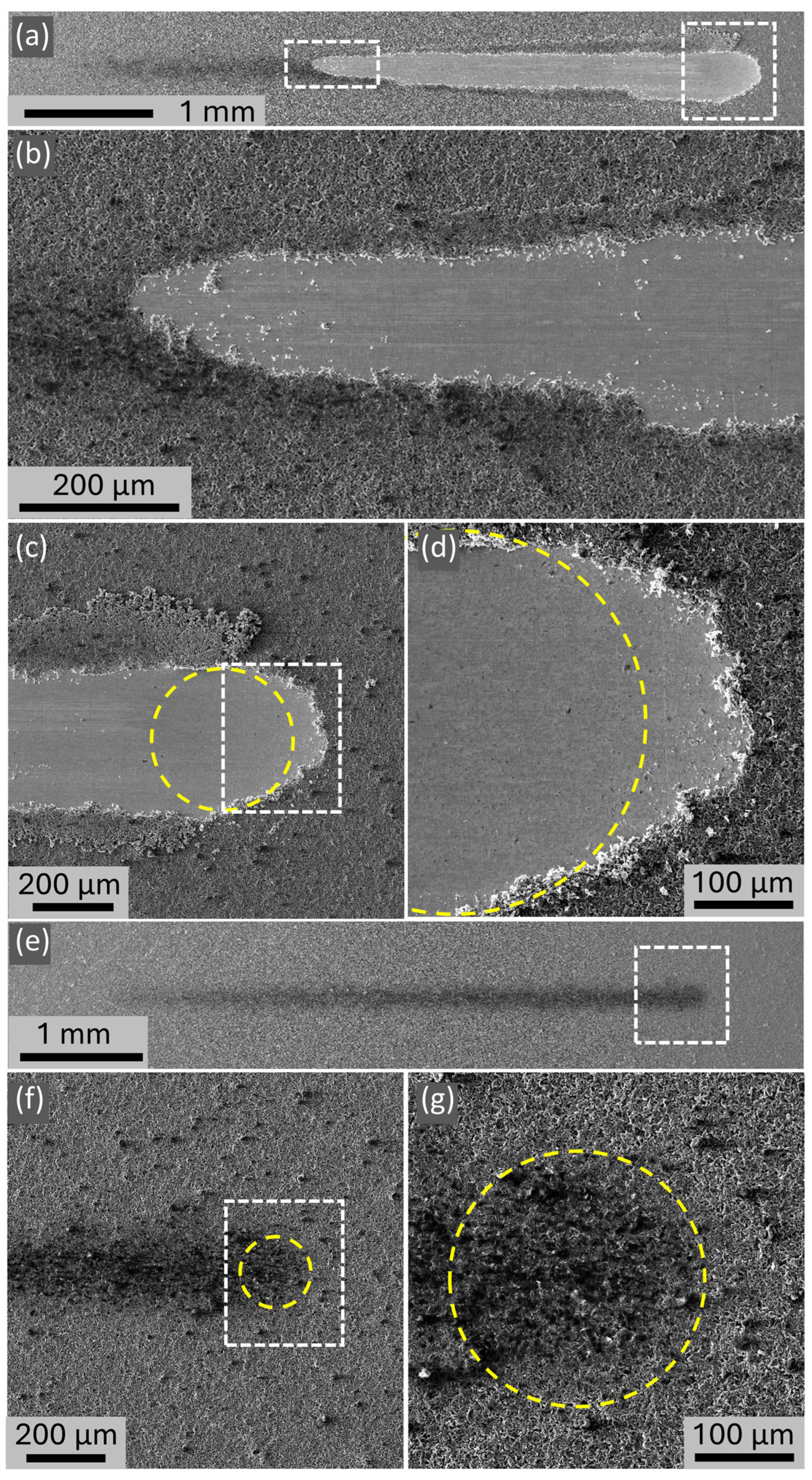 Coatings 15 00690 g007