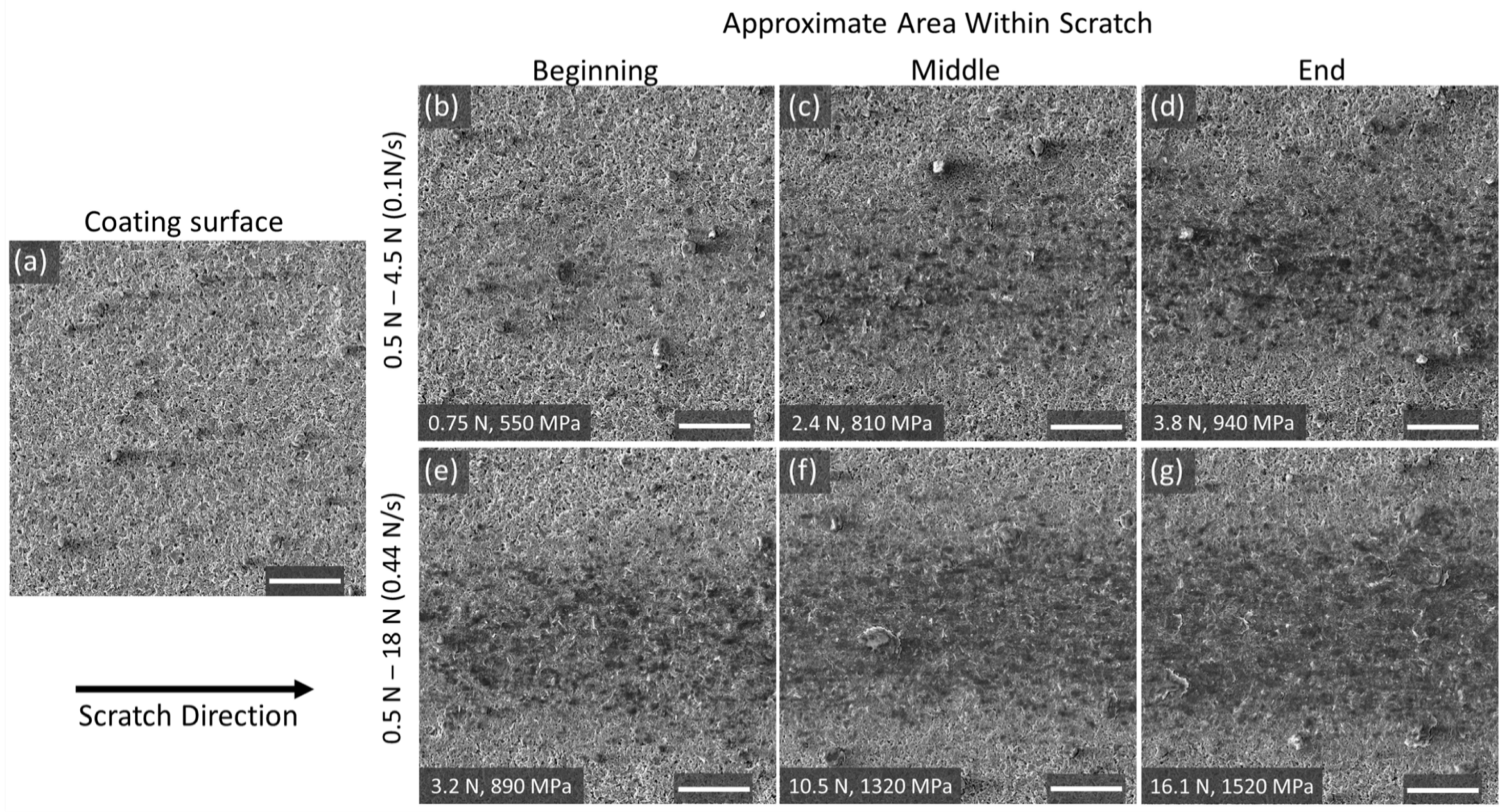 Coatings 15 00690 g014