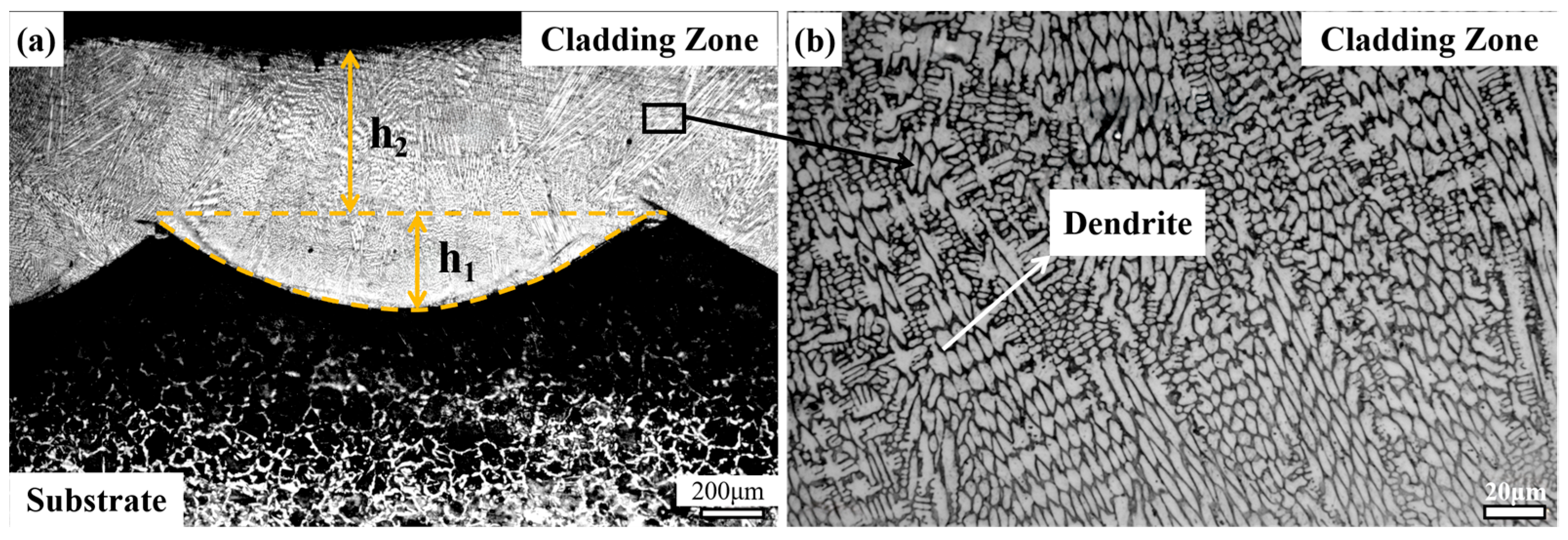 Coatings 15 00694 g015