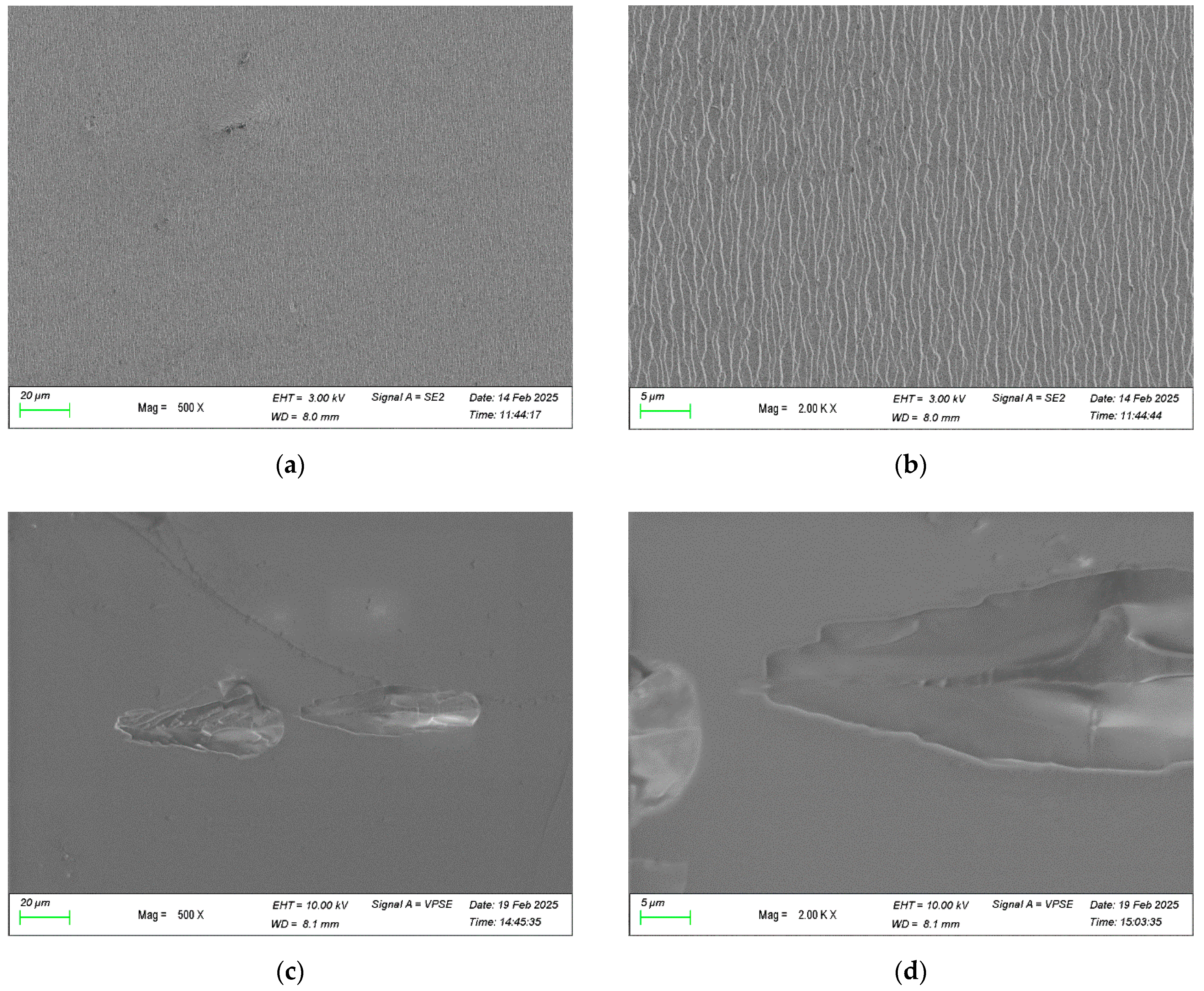 Coatings 15 00698 g006