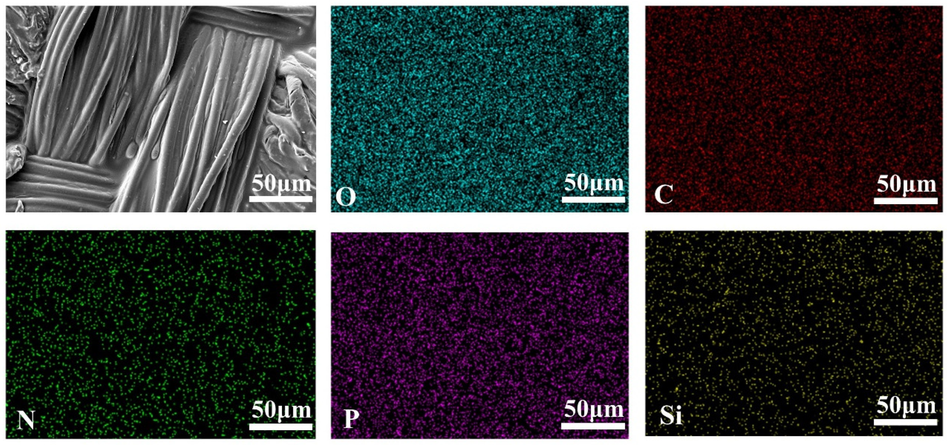 Coatings 15 00699 g003