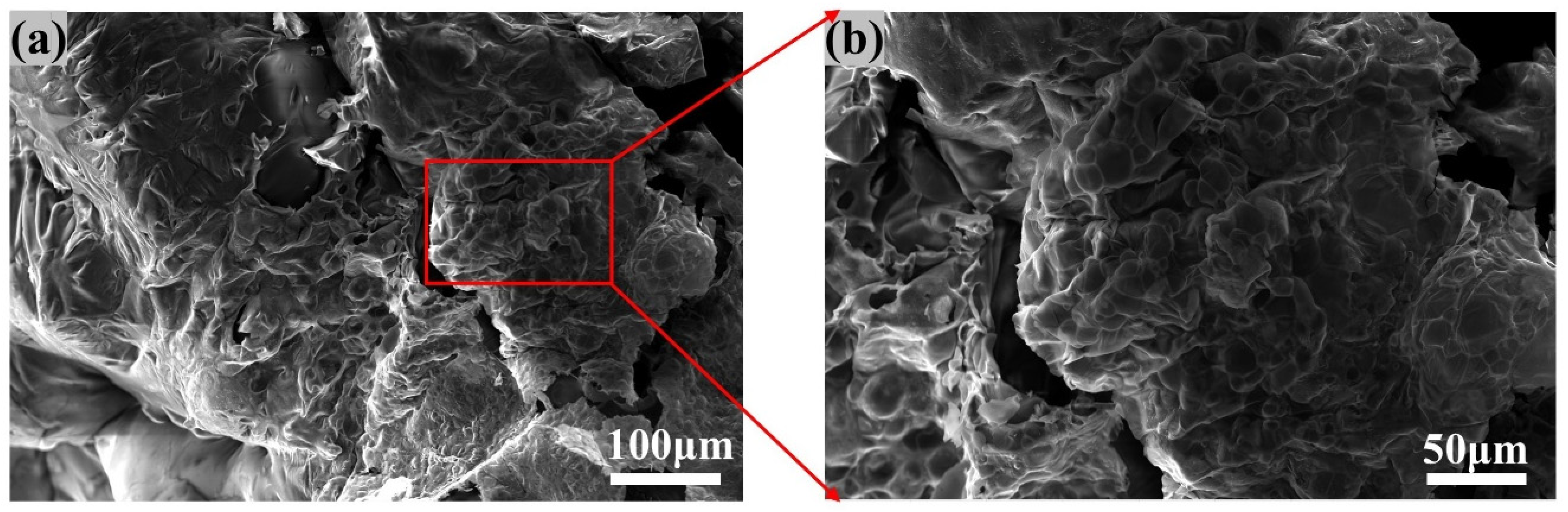Coatings 15 00699 g008