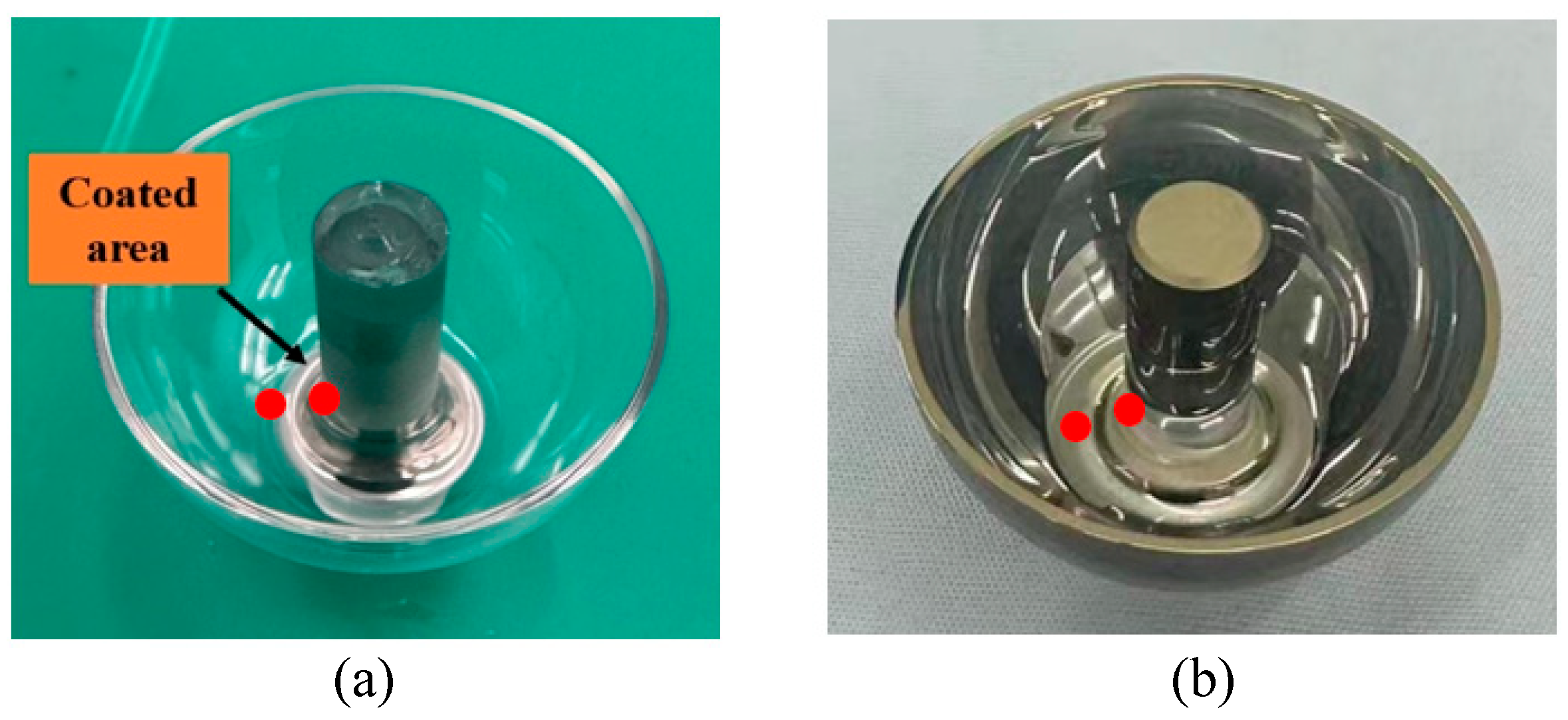 Coatings 15 00700 g021