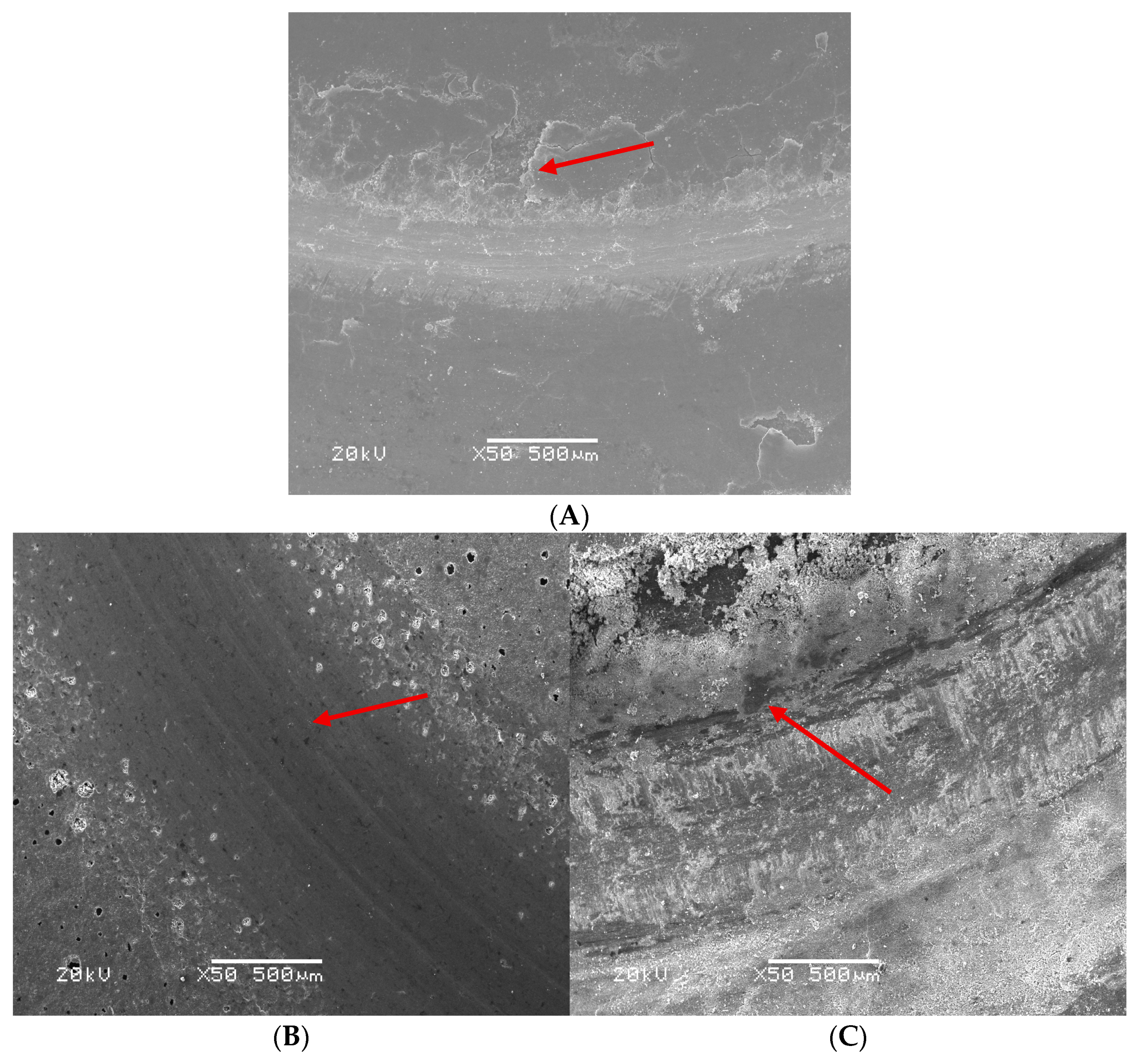 Coatings 15 00704 g010