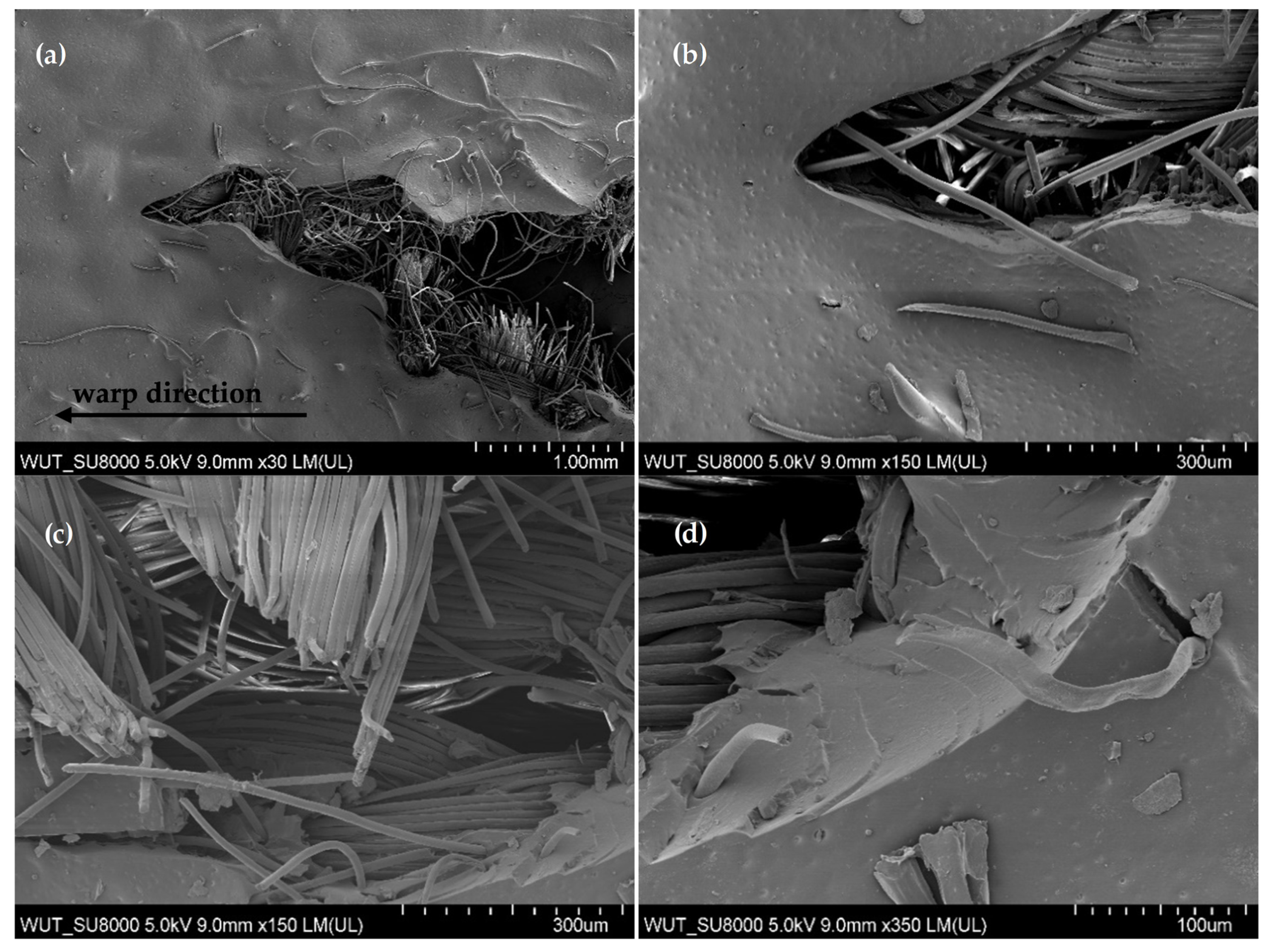 Coatings 15 00705 g011