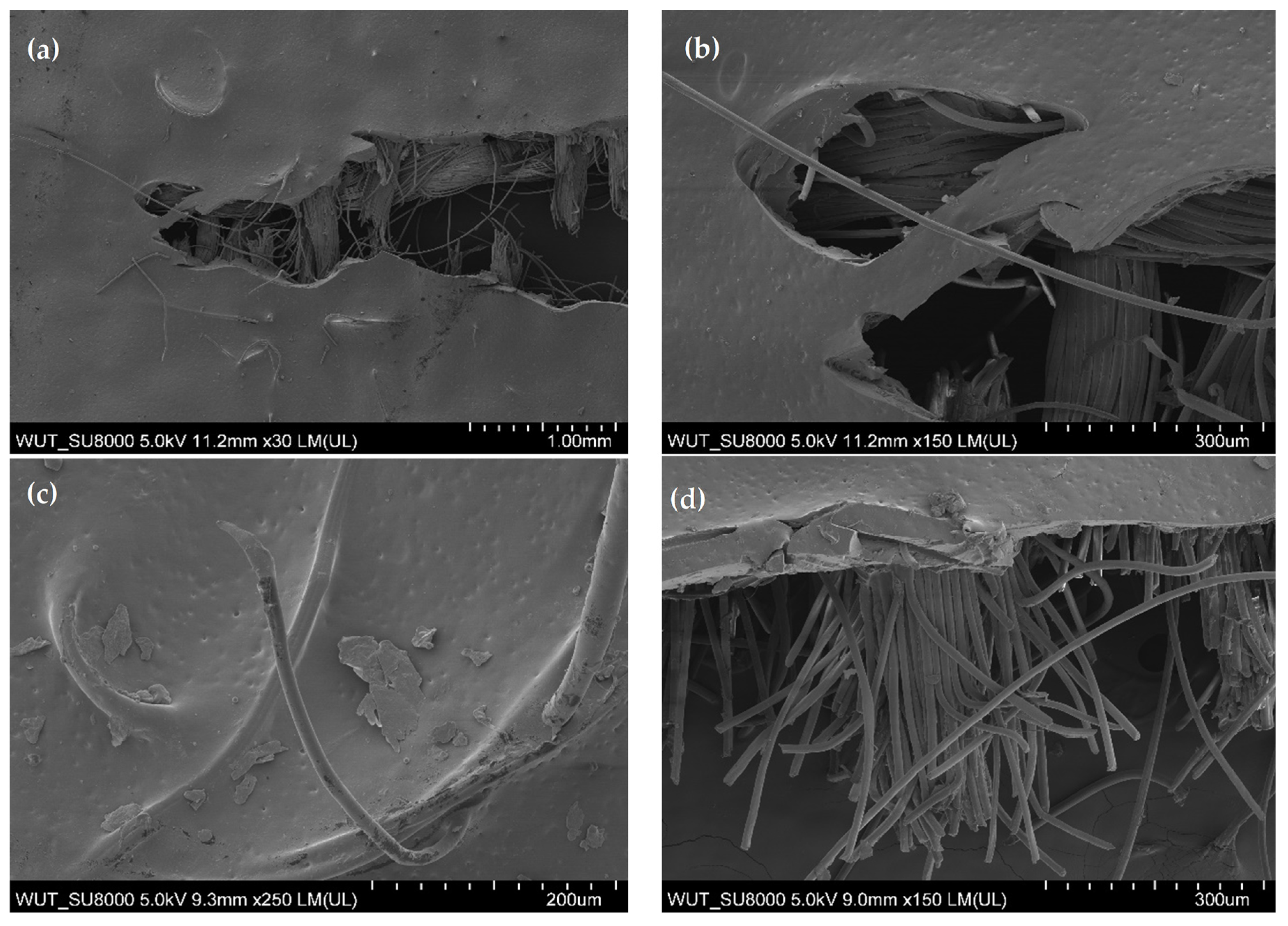Coatings 15 00705 g013