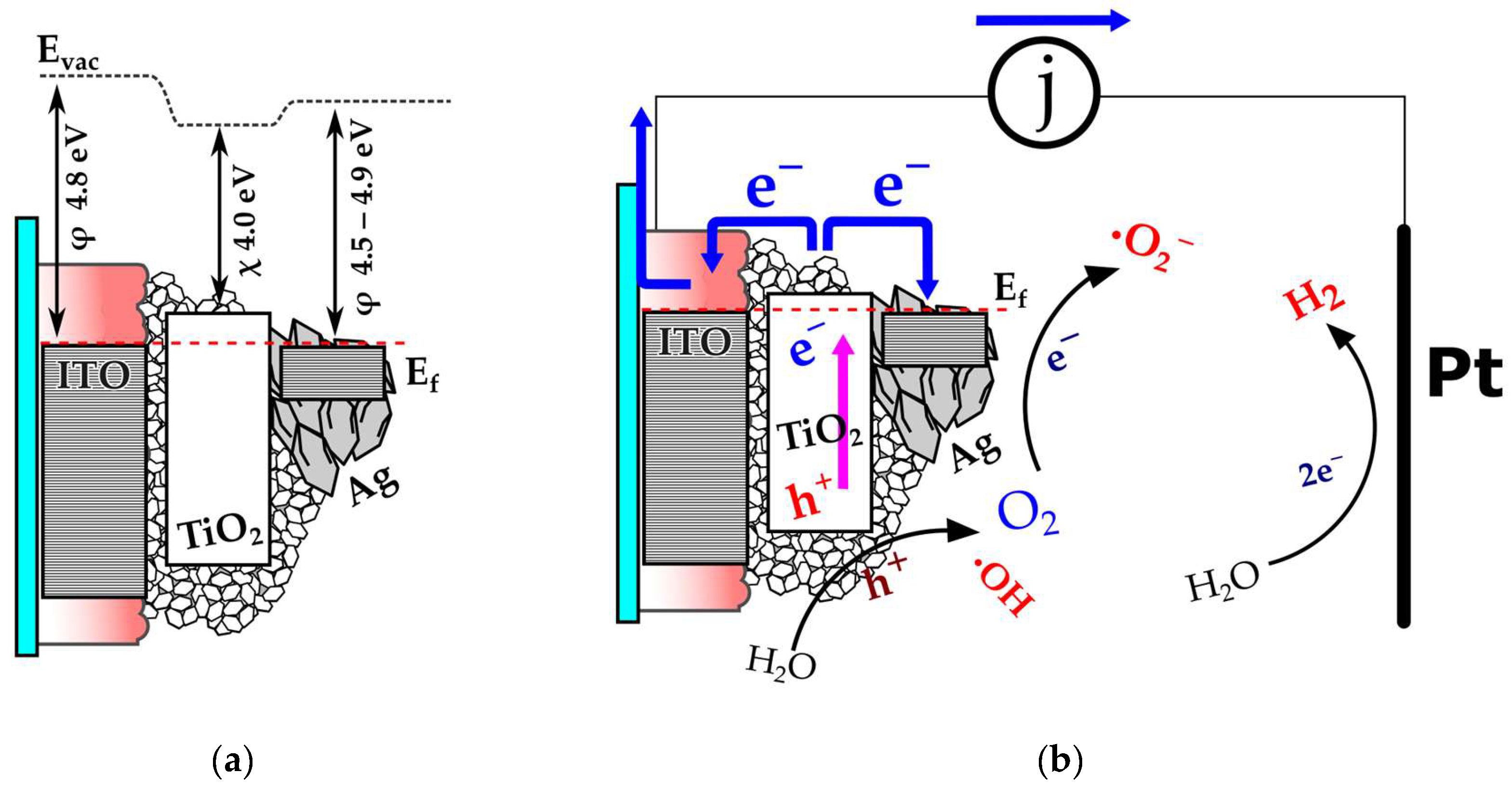 Coatings 15 00709 g015