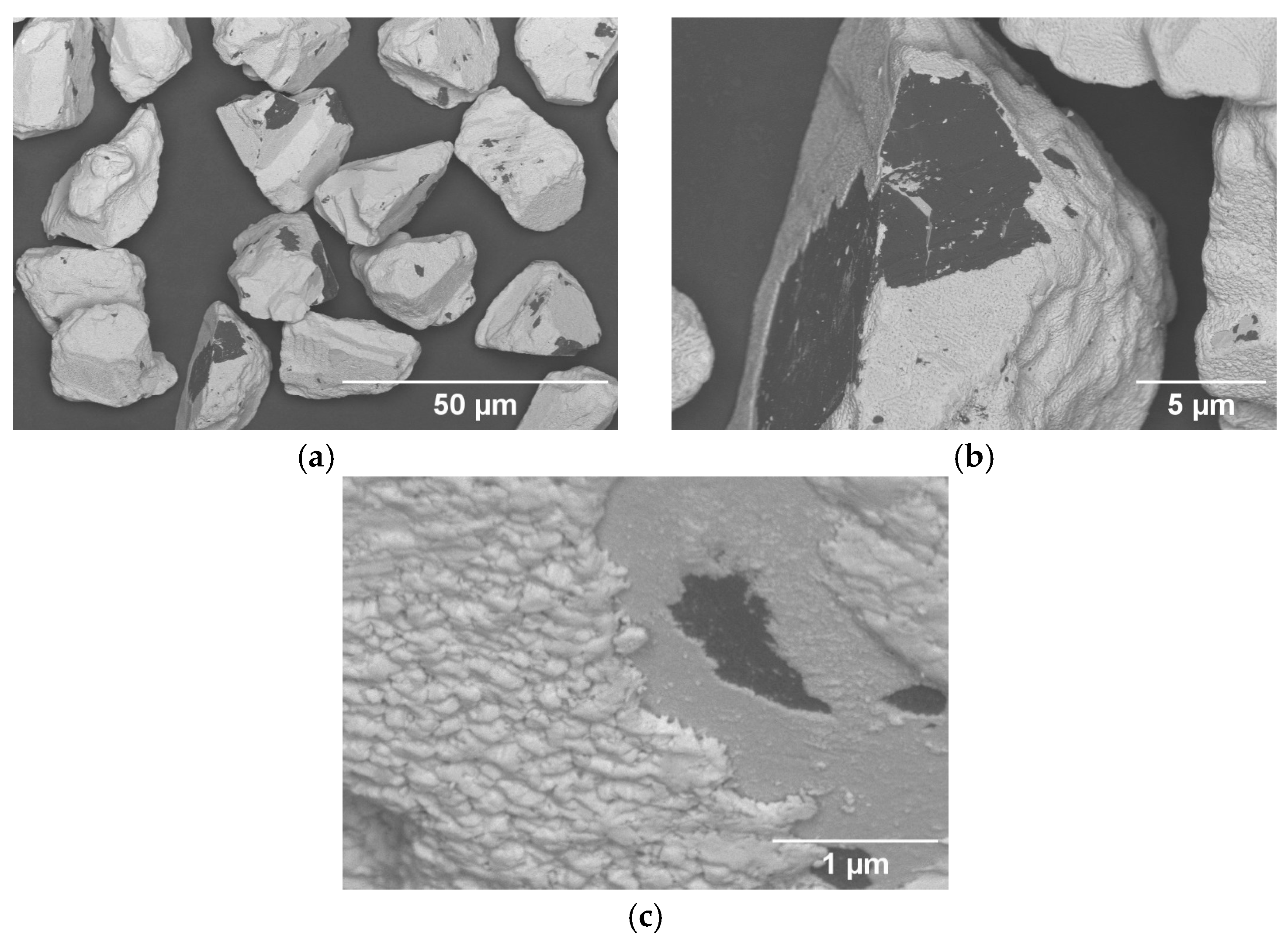 Coatings 15 00711 g004