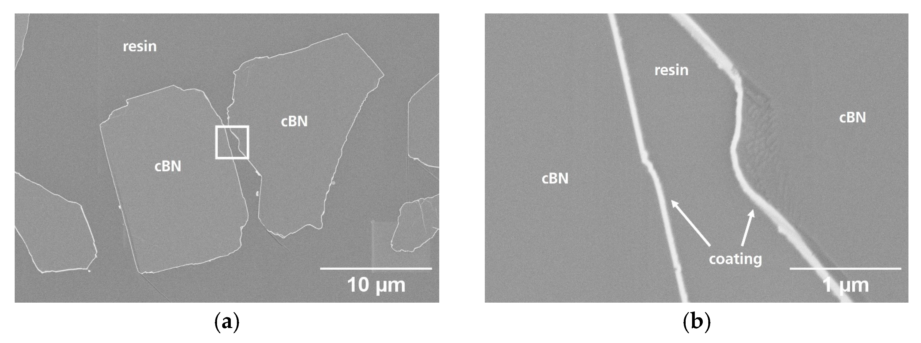 Coatings 15 00711 g005