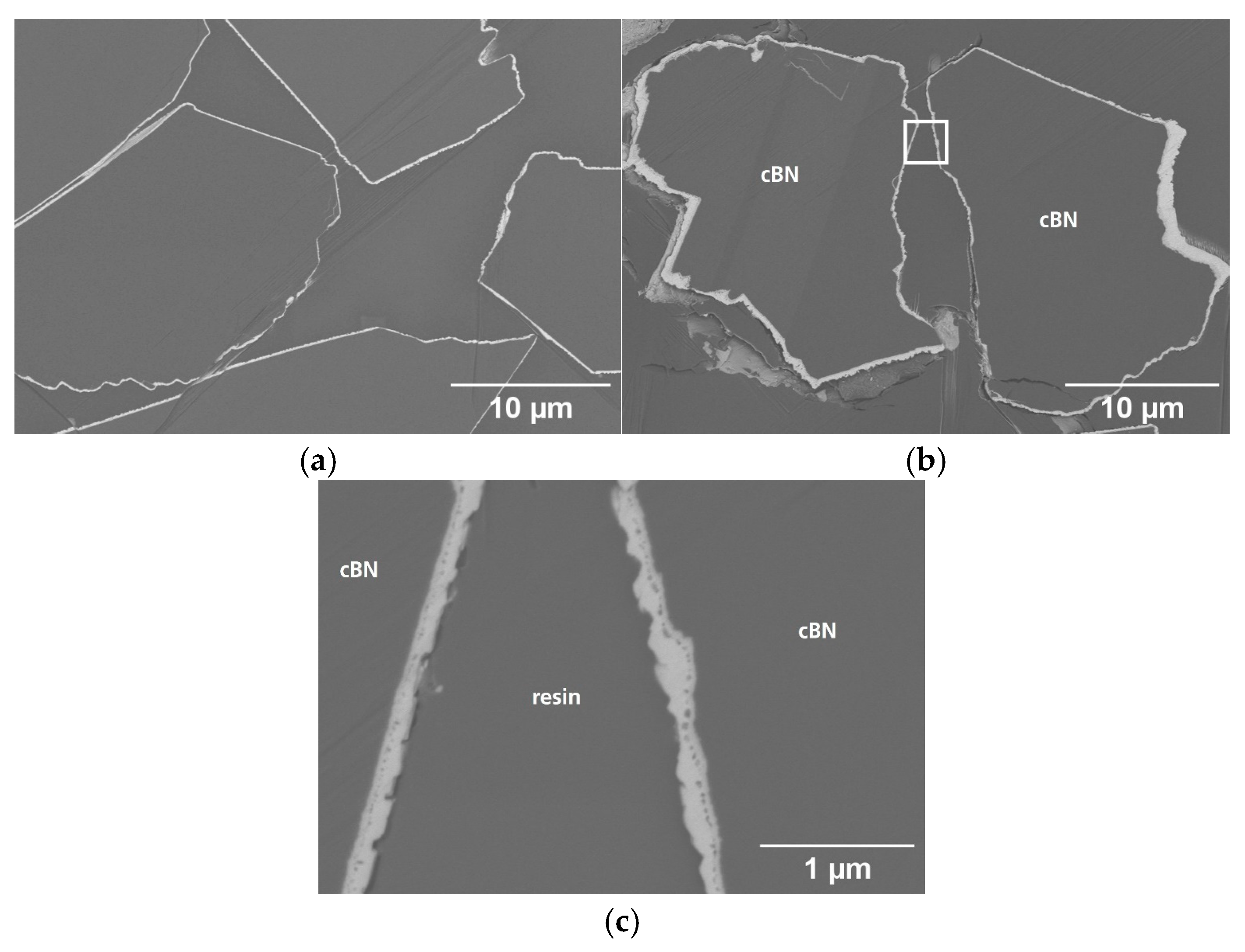 Coatings 15 00711 g008