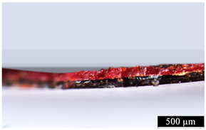 Coatings 15 00712 i017