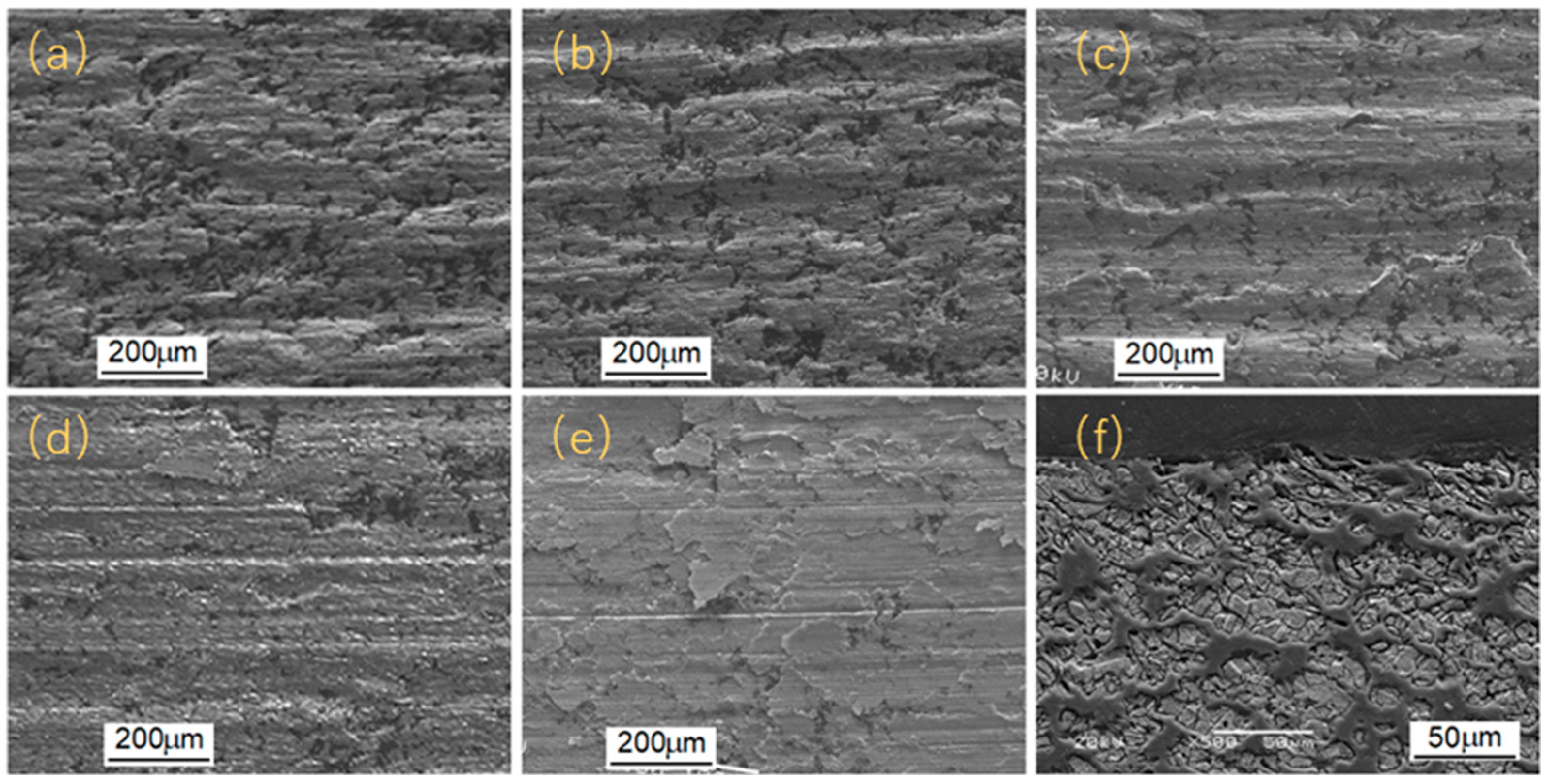 Coatings 15 00714 g010