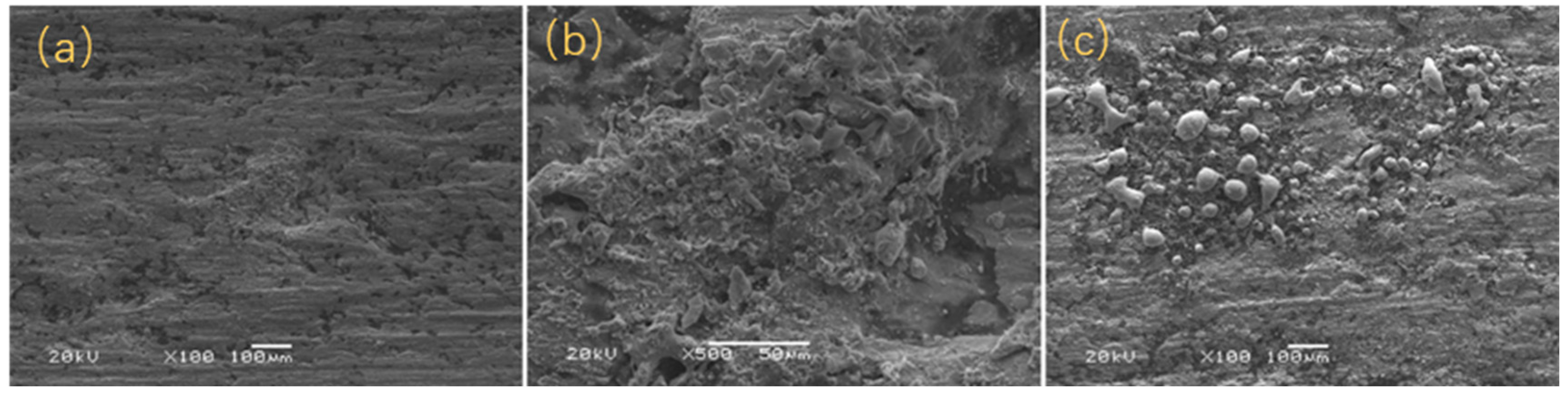 Coatings 15 00714 g011