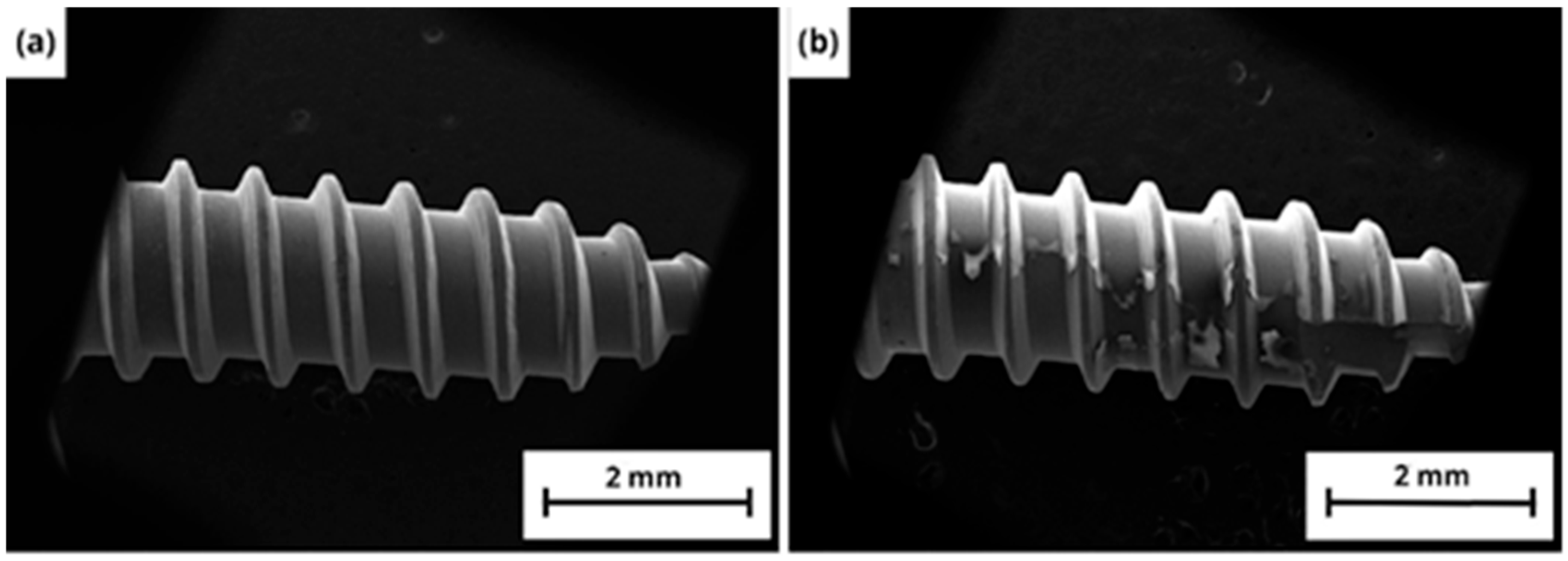 Coatings 15 00715 g003
