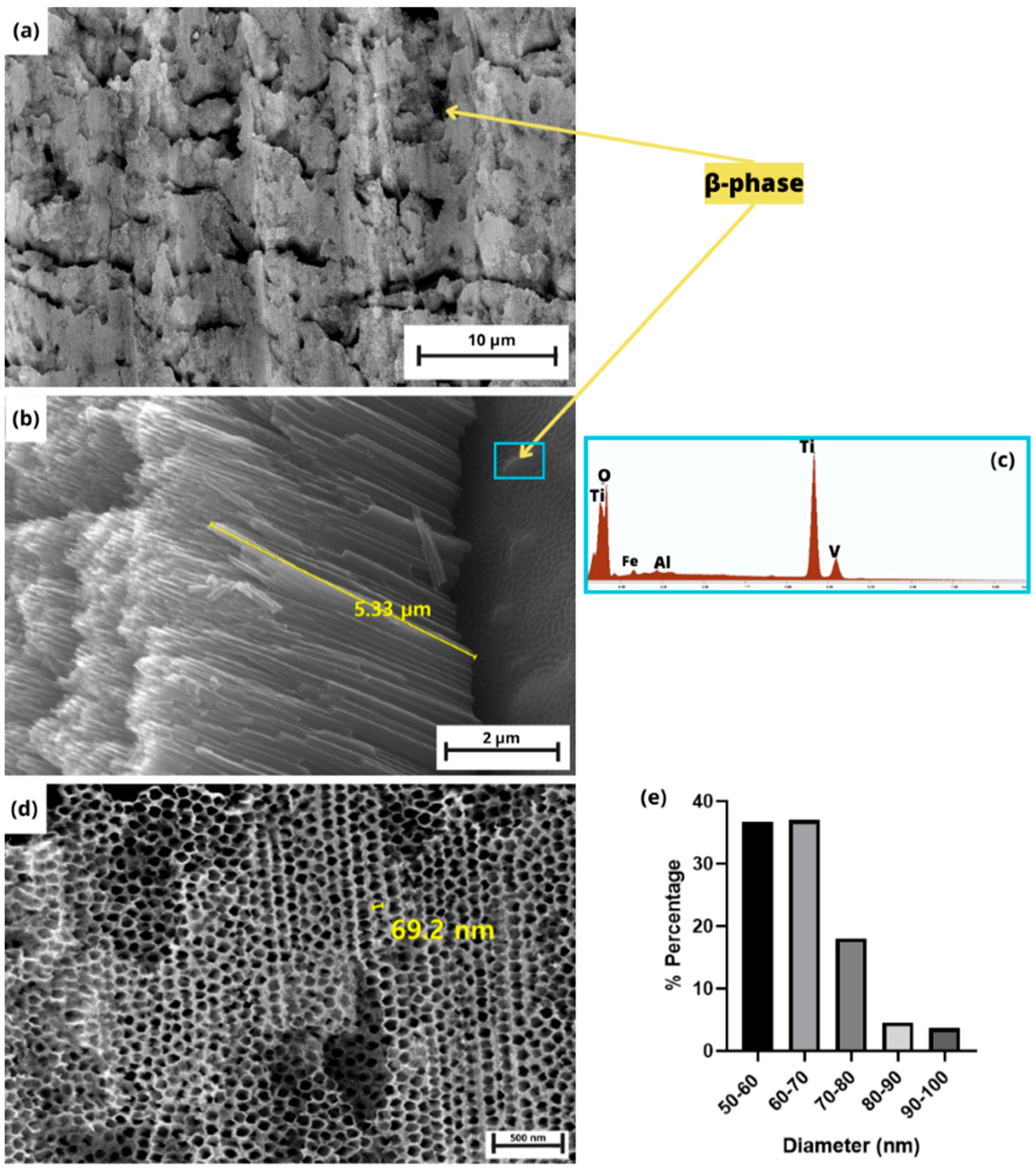 Coatings 15 00715 g004