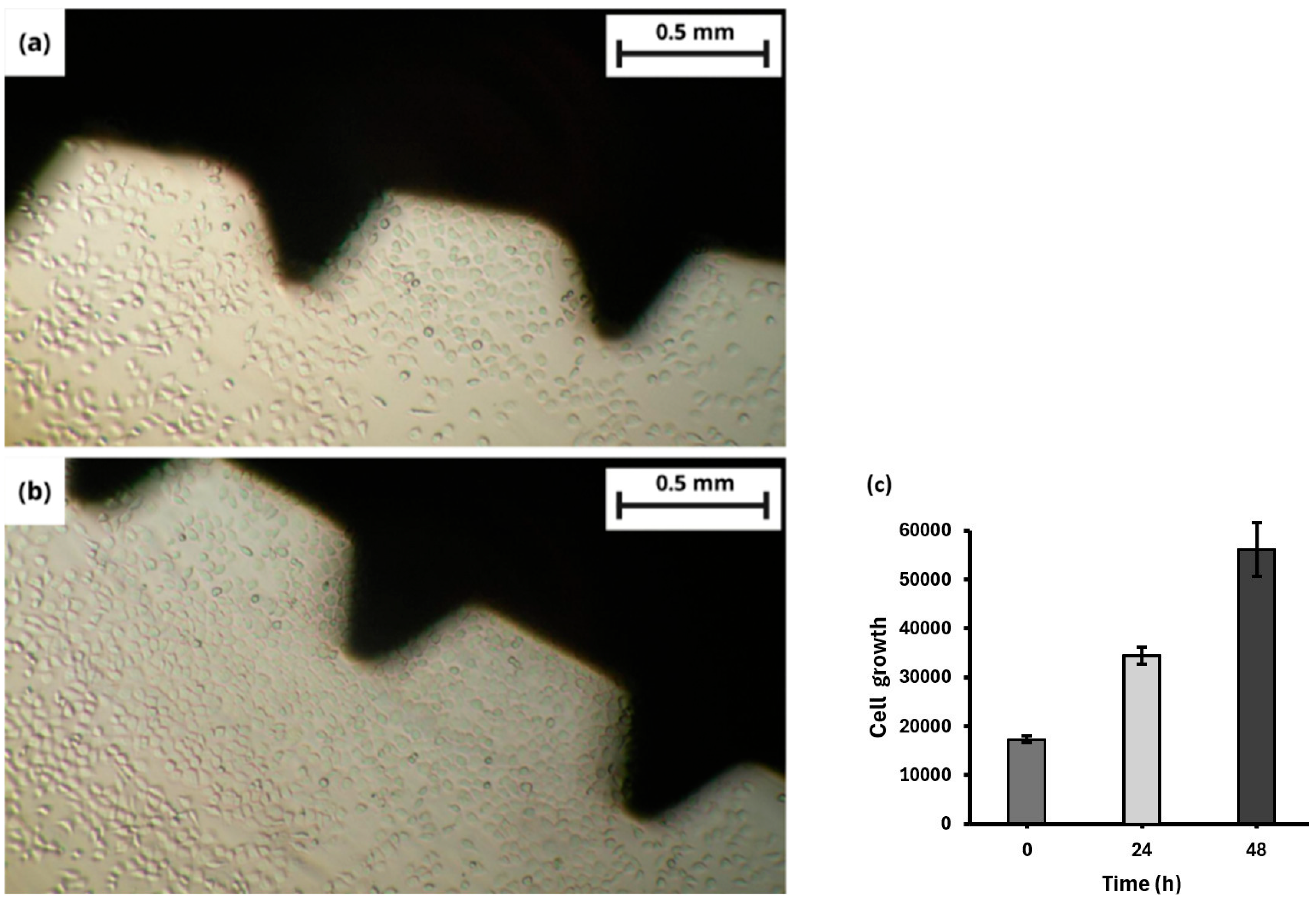 Coatings 15 00715 g005