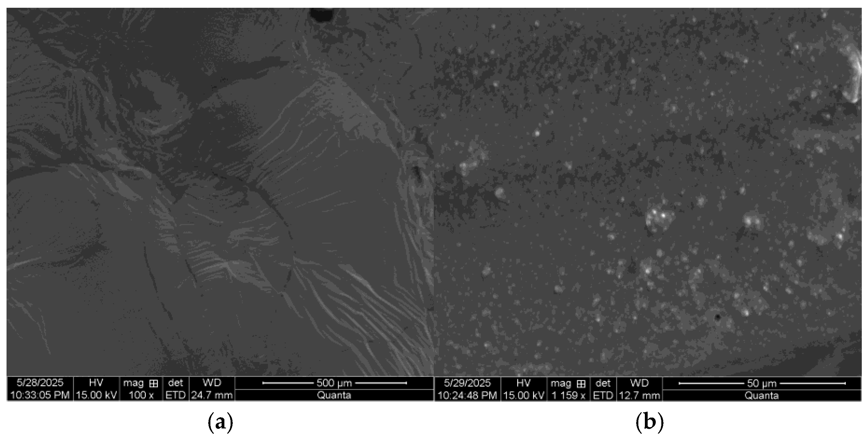 Coatings 15 00717 g019