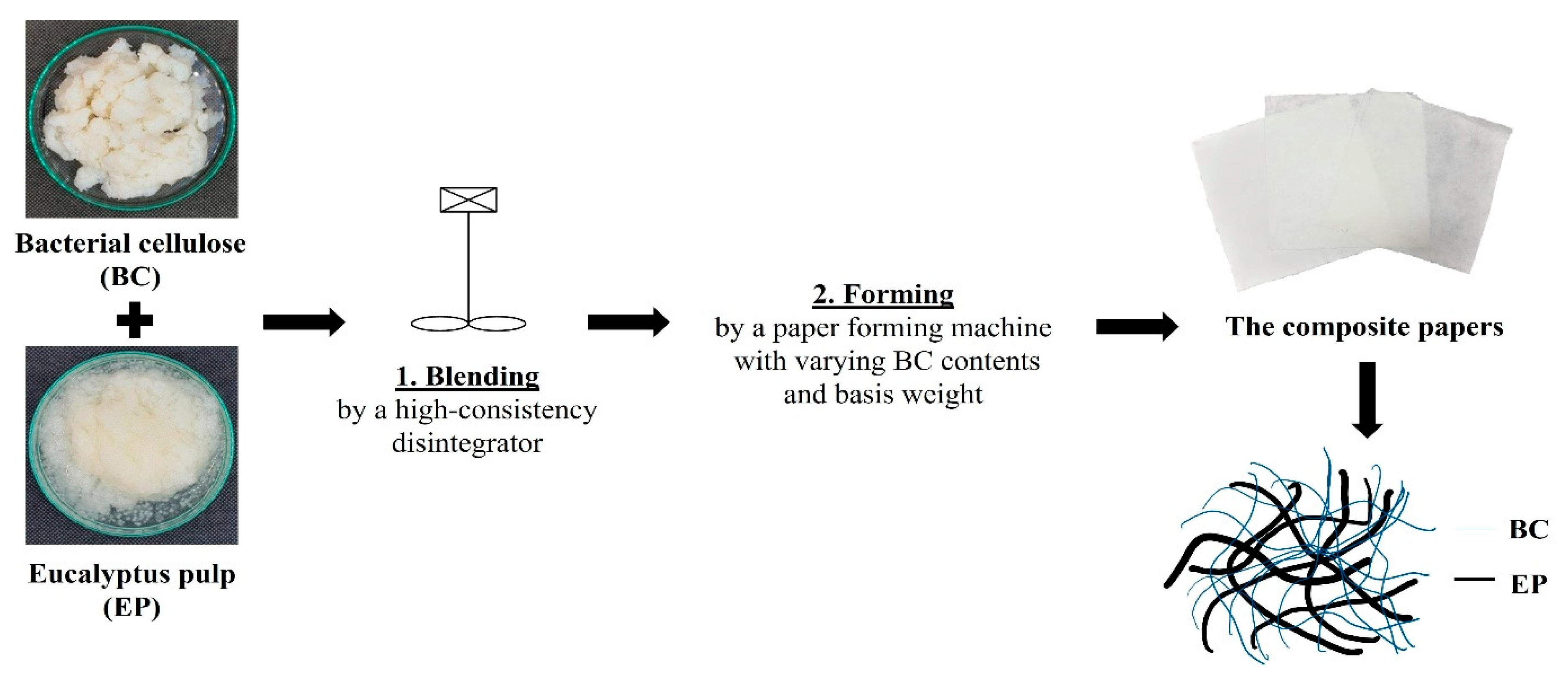 Coatings 15 00720 g001
