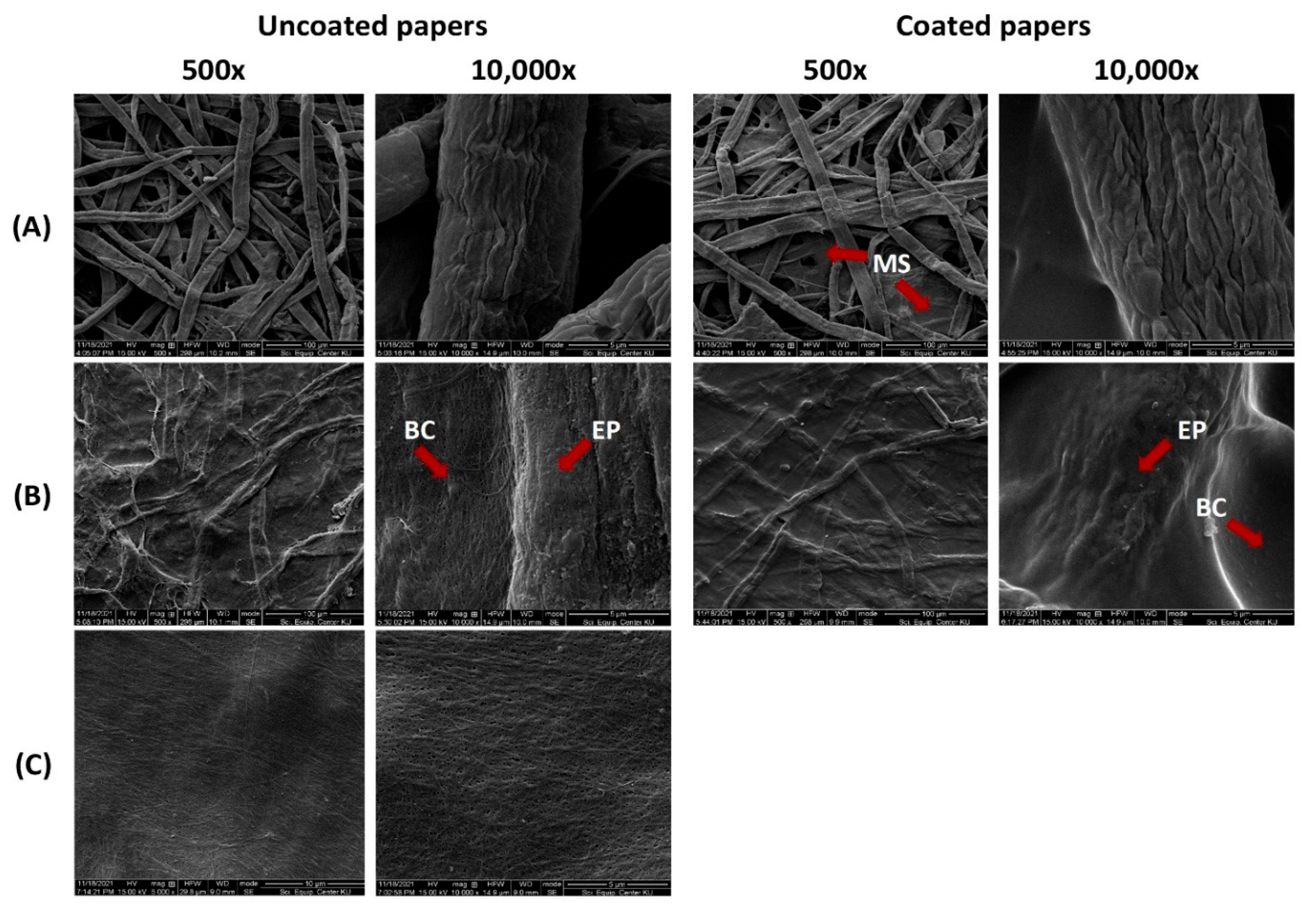 Coatings 15 00720 g002
