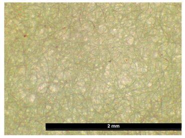 Coatings 15 00720 i003