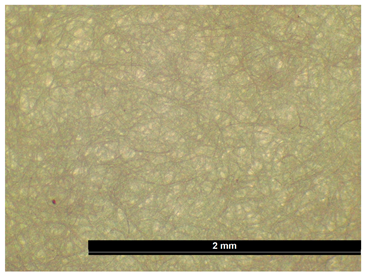 Coatings 15 00720 i004