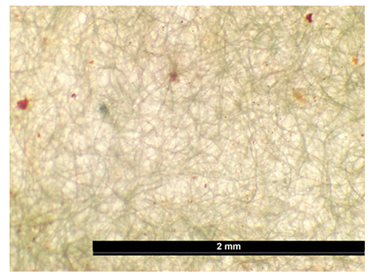 Coatings 15 00720 i005