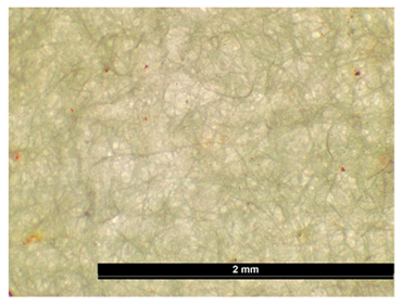 Coatings 15 00720 i007